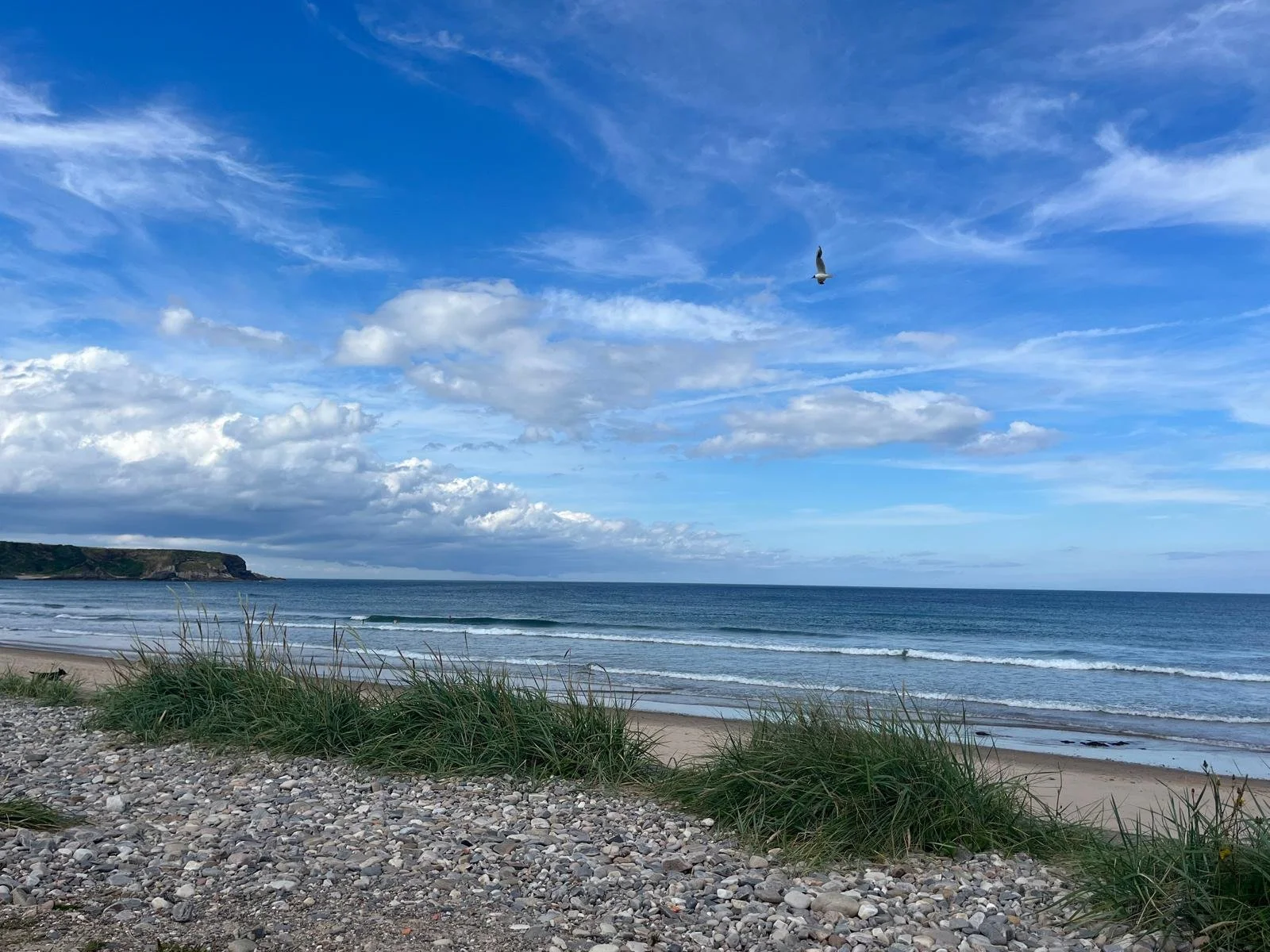 WhatsApp Image 2024-09-29 at 12.20.43 (4).jpeg