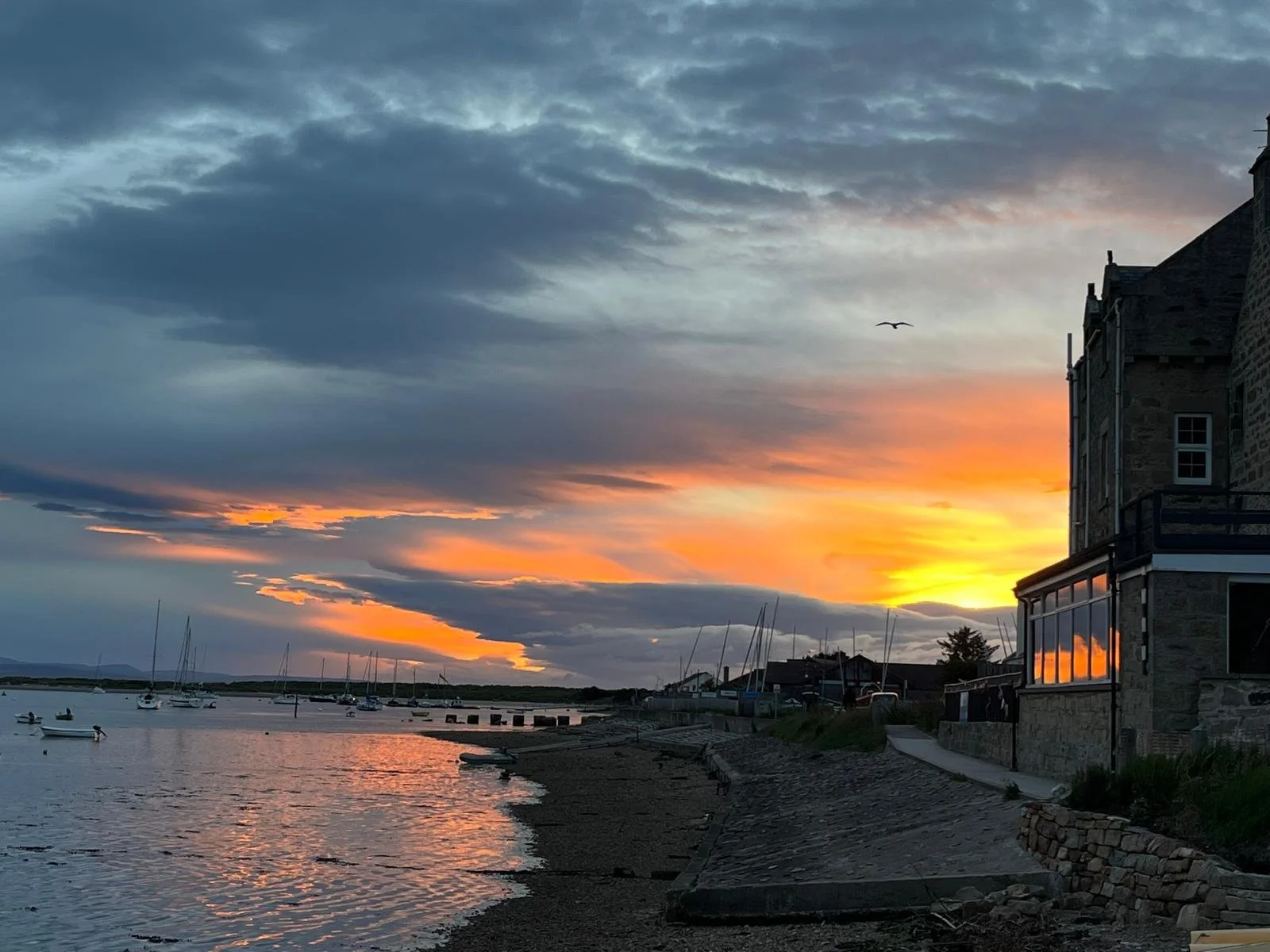 WhatsApp Image 2024-09-29 at 12.20.43.jpeg