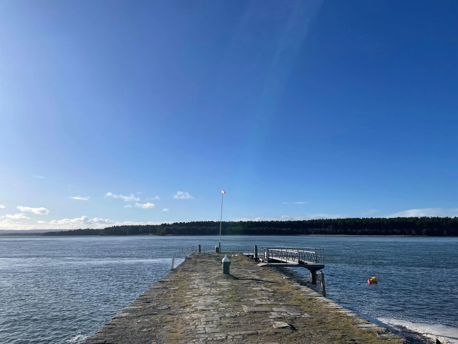 WhatsApp Image 2024-09-29 at 12.25.29.jpeg