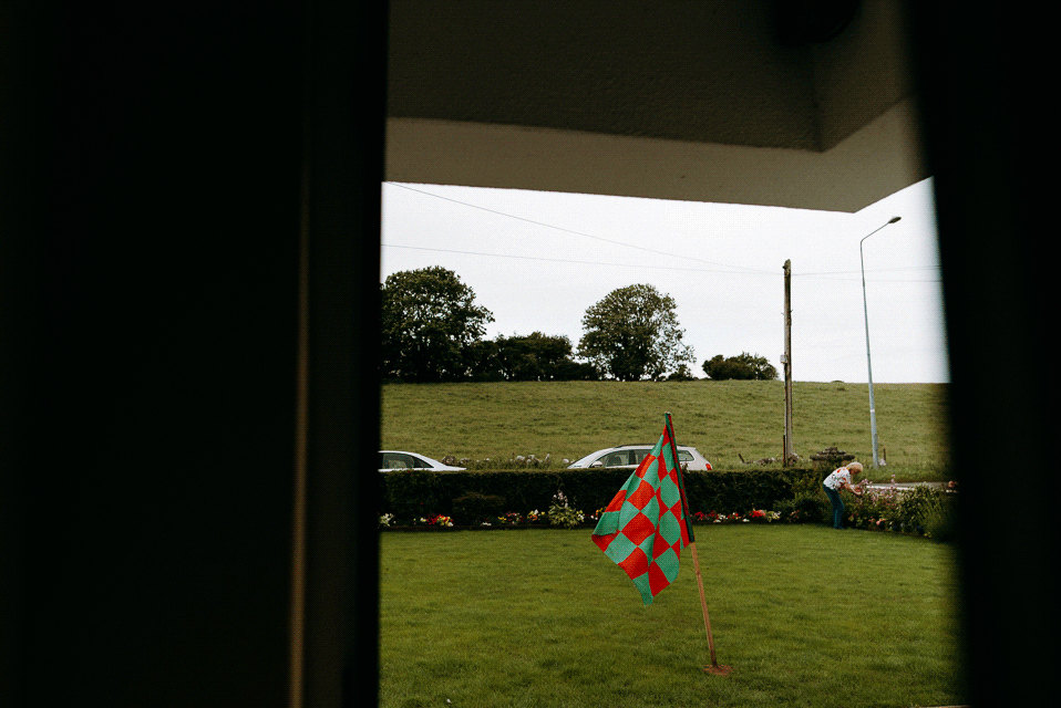 DSC_2491.gif