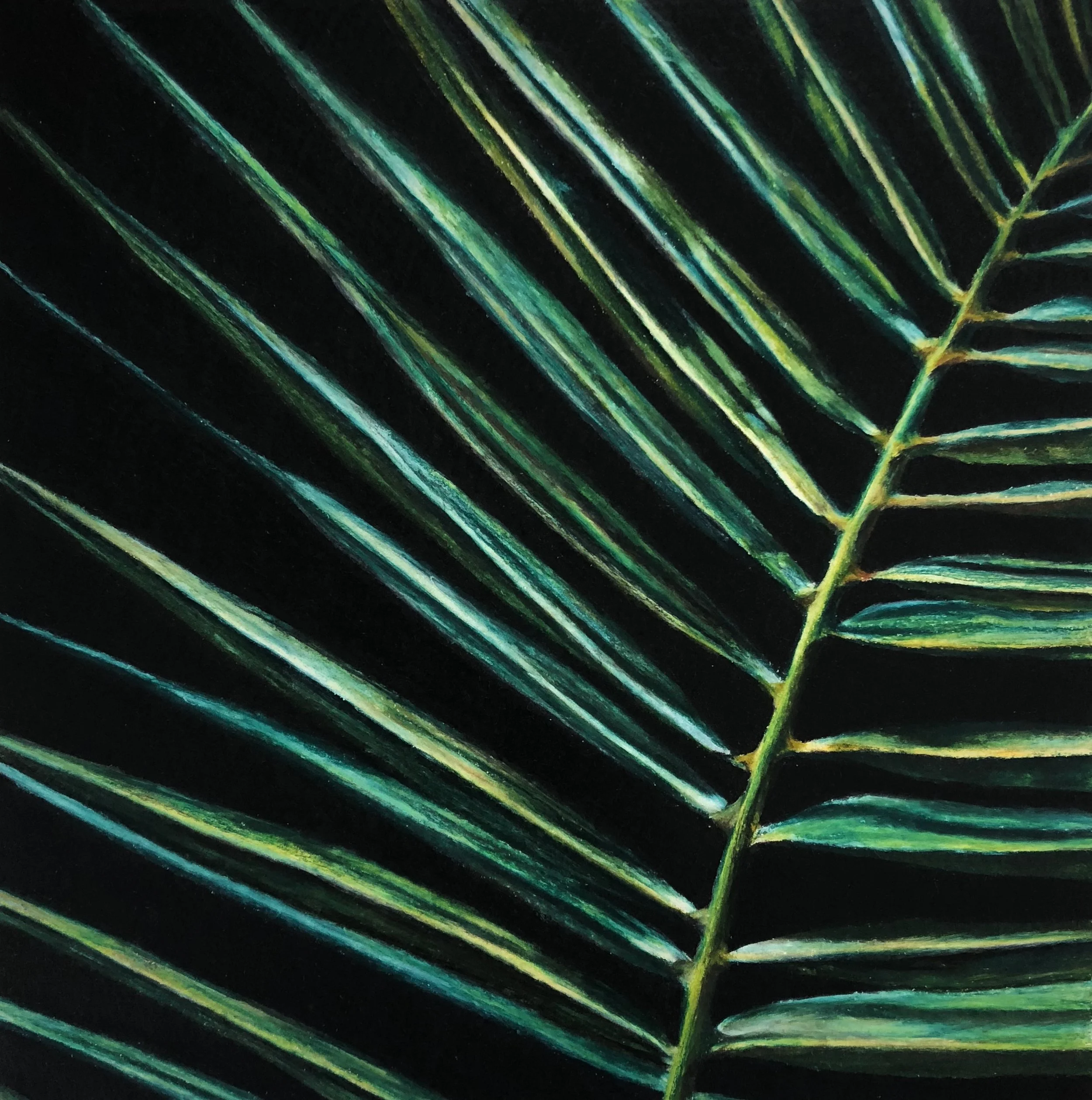 LA HOJA DE PALMA (sold)