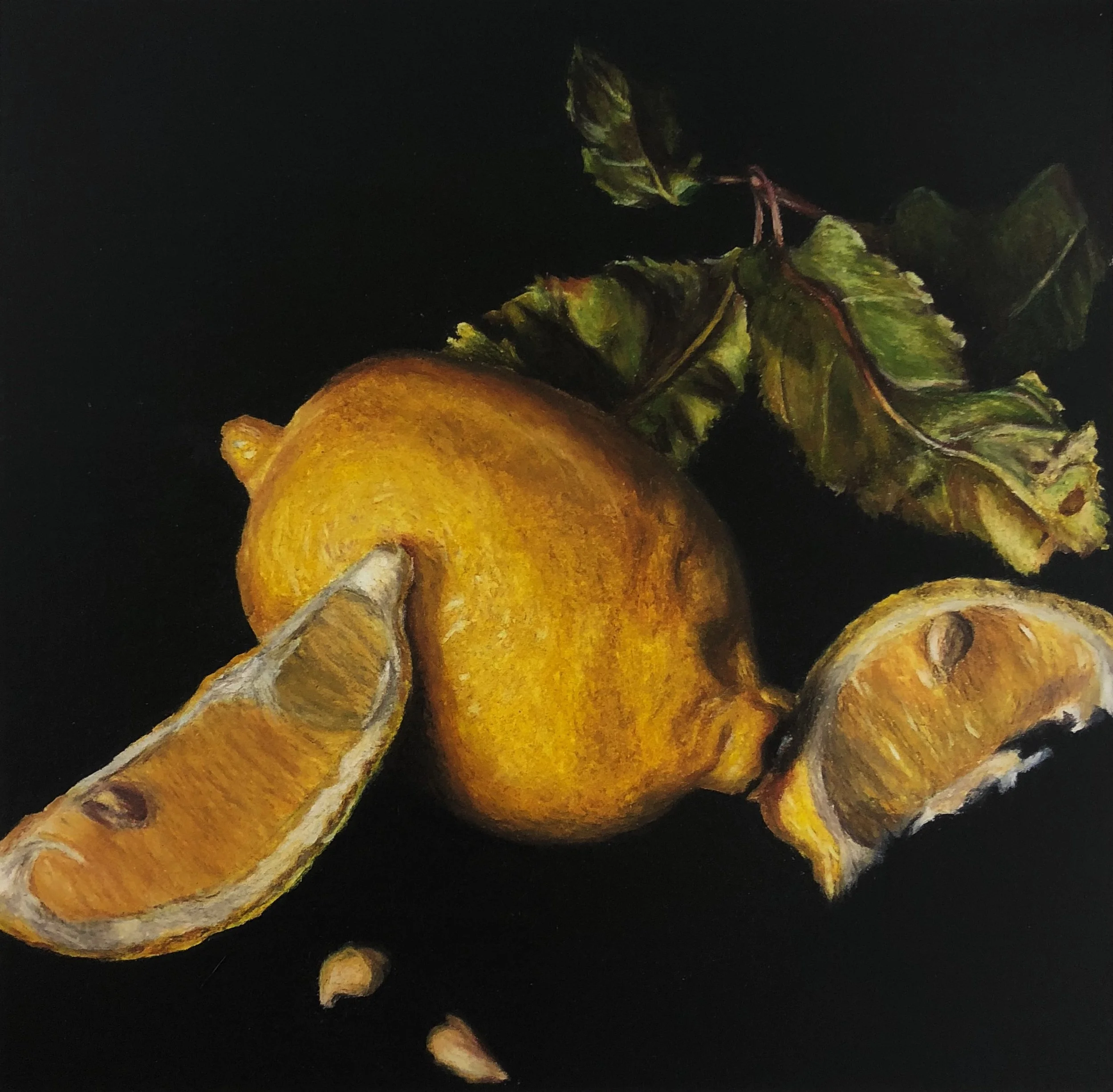 EL LIMONCITO (sold)
