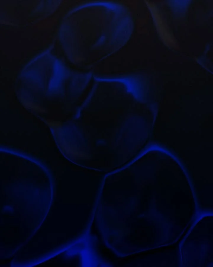 Morris. Swipe for wireframe. #daily #3d #animation #motiongraphics #mdcommunity #mdcollective #xuxoe #Autodesk #3dsmax #chaoscloud #vray7 #vrayfor3dsmax #myvray7 #adobe #aftereffects #abstract #art #everyday #studioshare