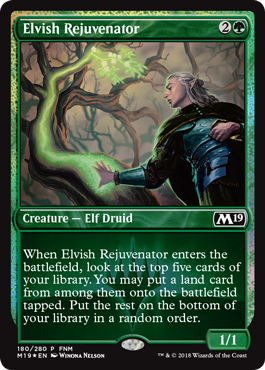 fnm19 1.png
