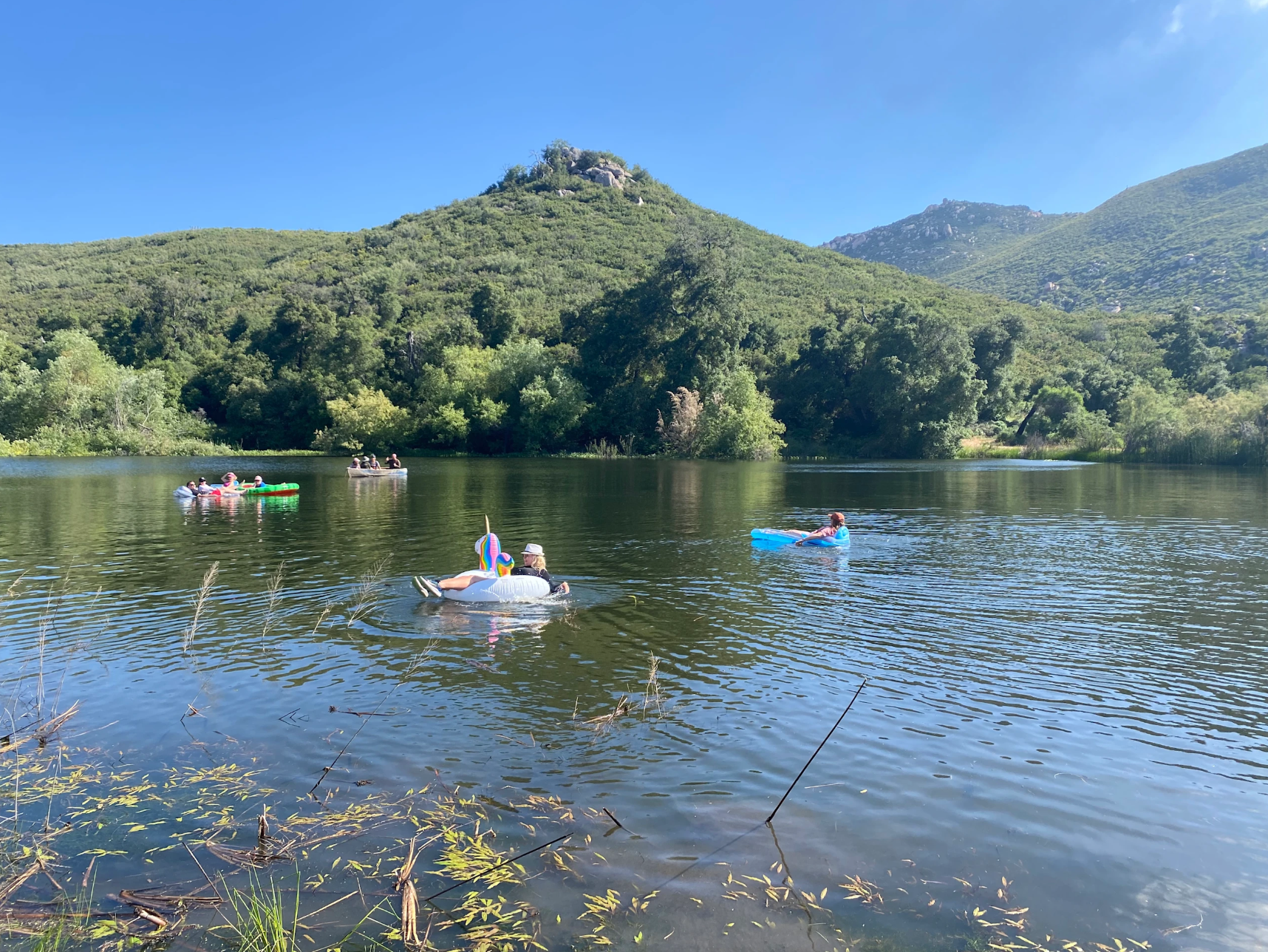 Untitled design (3).png