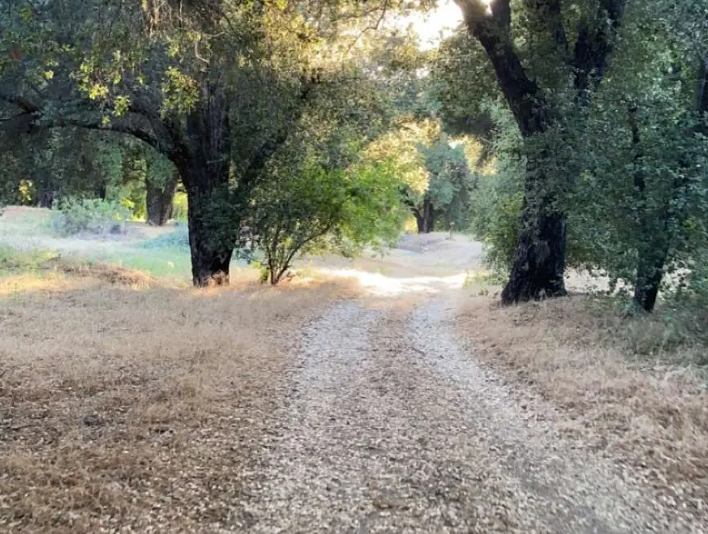 Screenshot 2026-03-19 at 2.28.05 PM.png