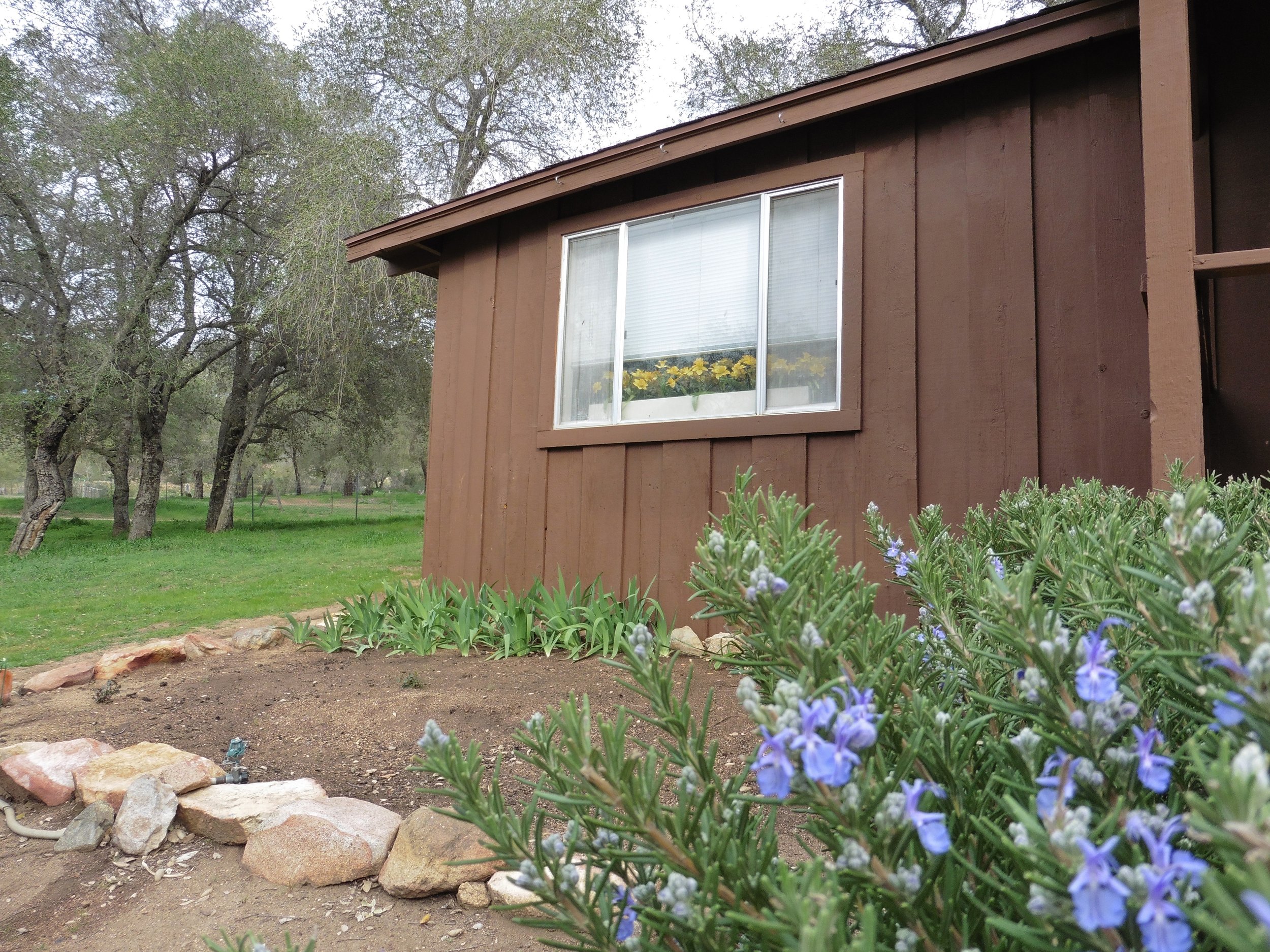 Cabin outside.JPG
