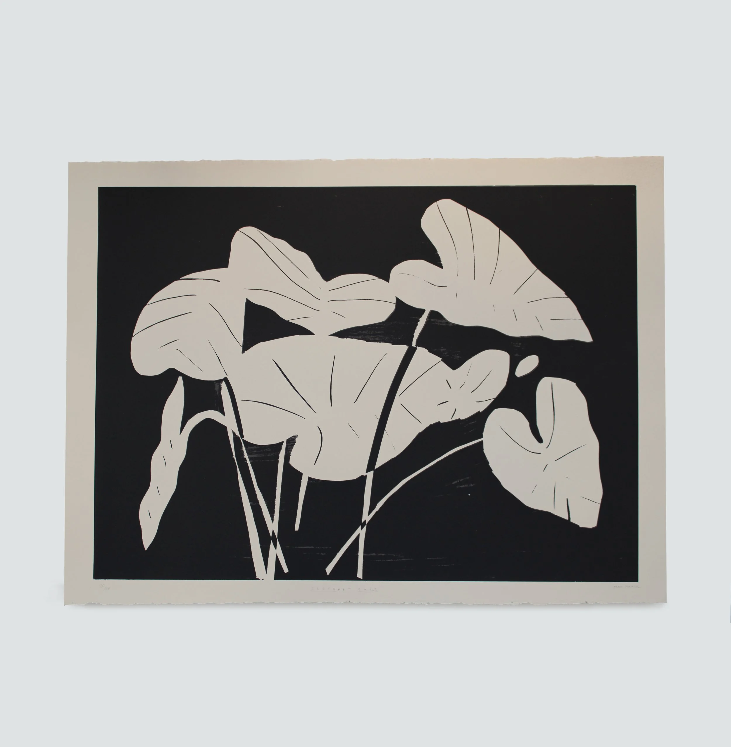 elephant ears print.jpg
