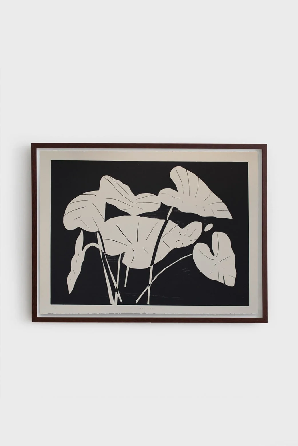 Anna Koeferl_elephantears-framed.jpg