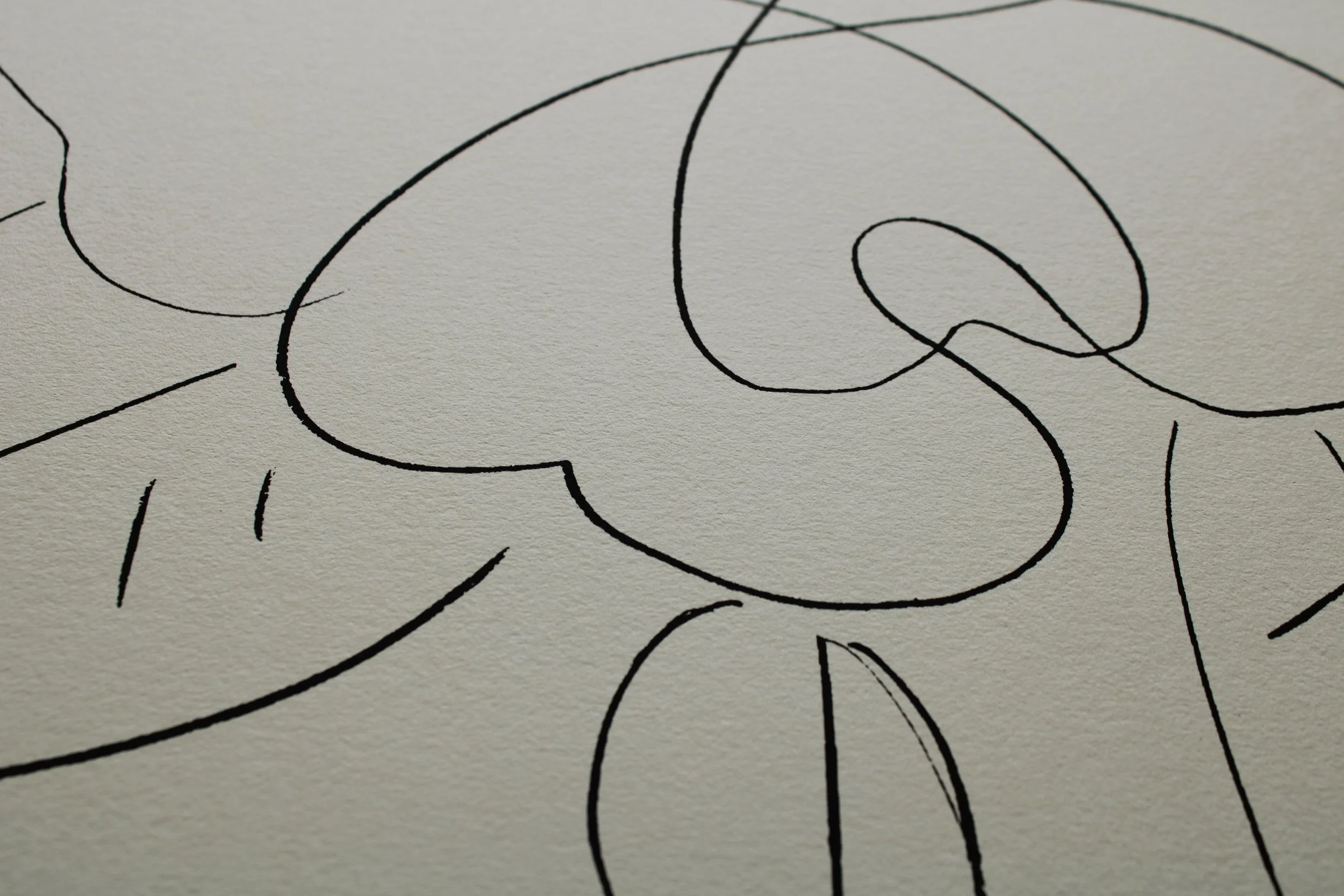 magnolia-drawing-2.jpg