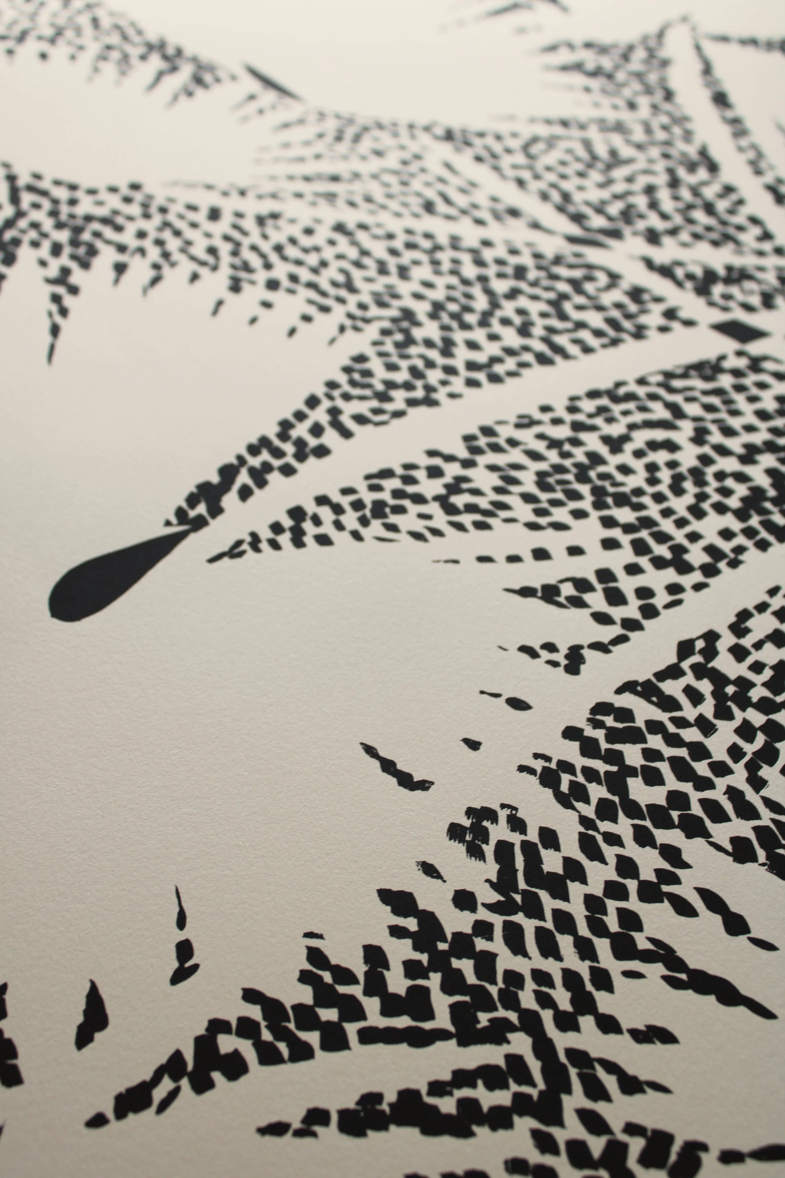 fan-palms-detail2.jpg
