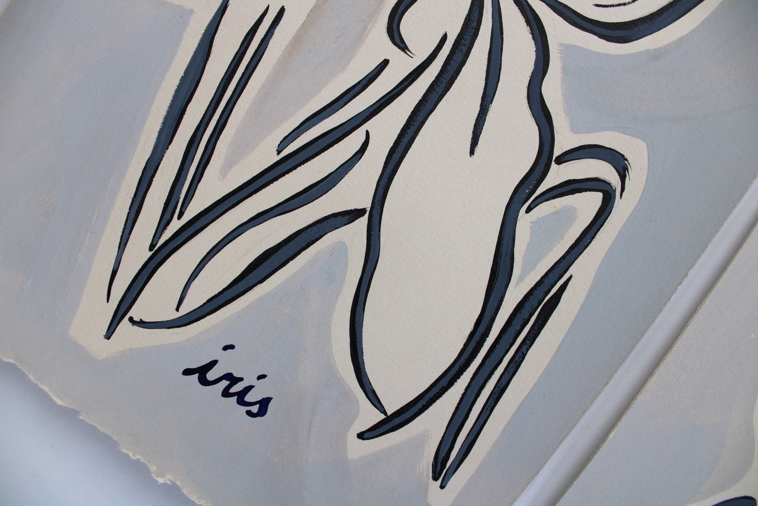 Iris and gardenia studies // set of 2