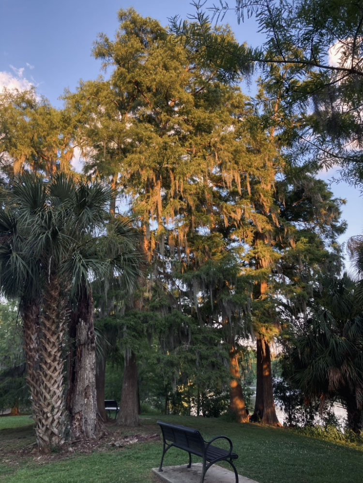 audubonpark1.jpg