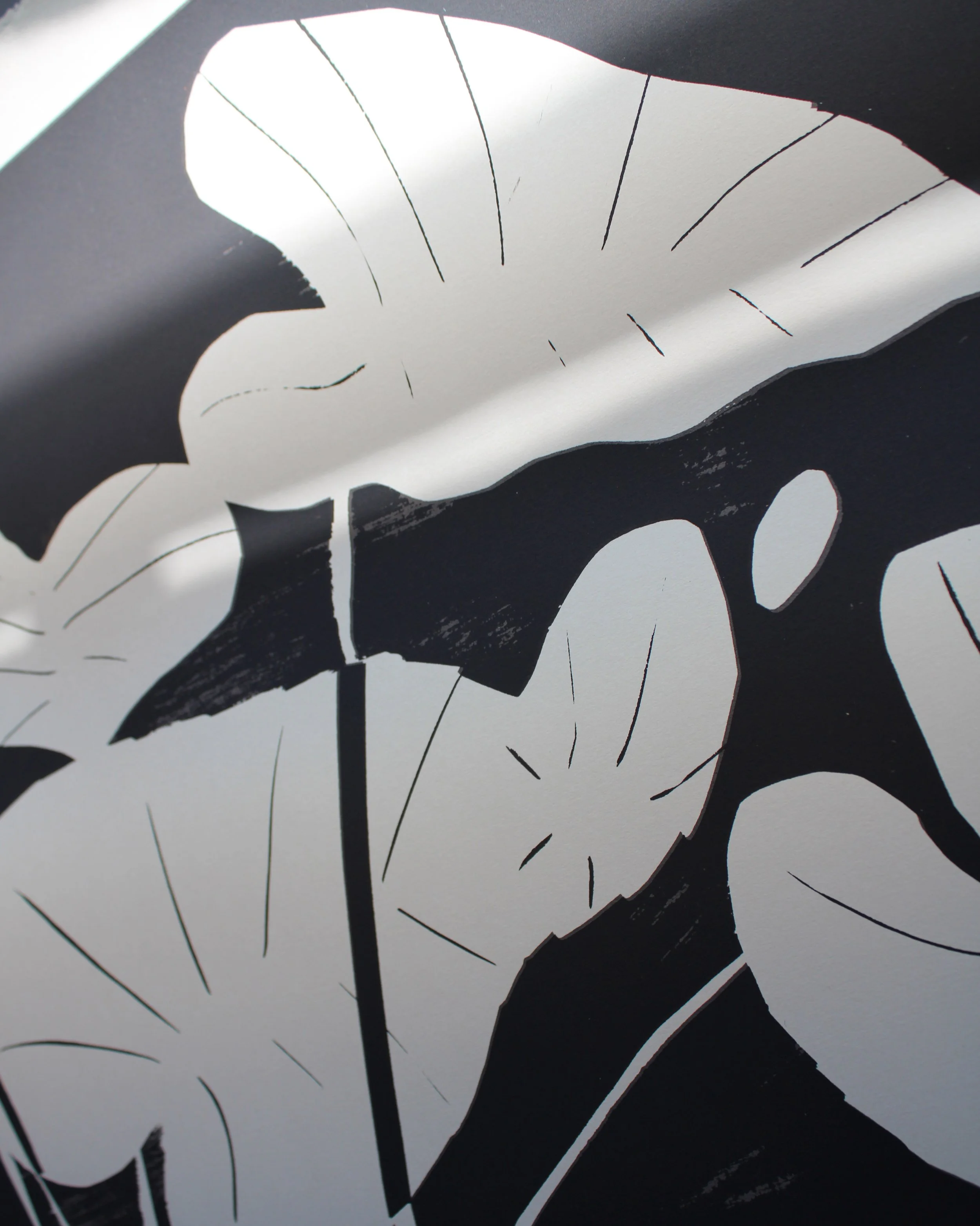 elephant-ears-detail.jpg