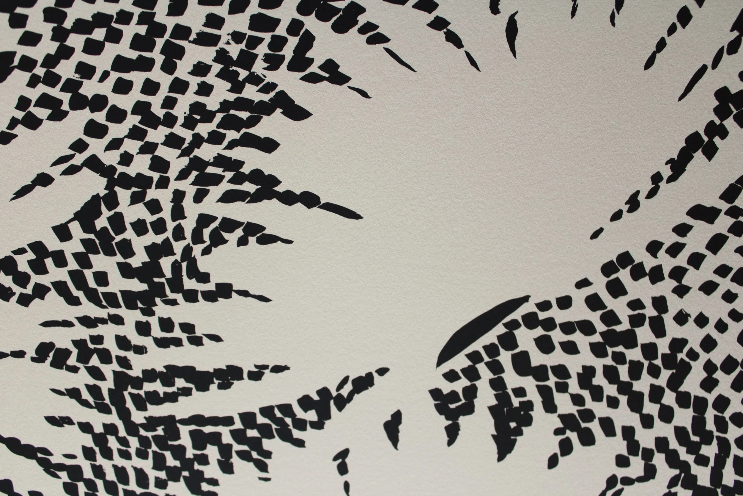 fan-palms-detail.jpg