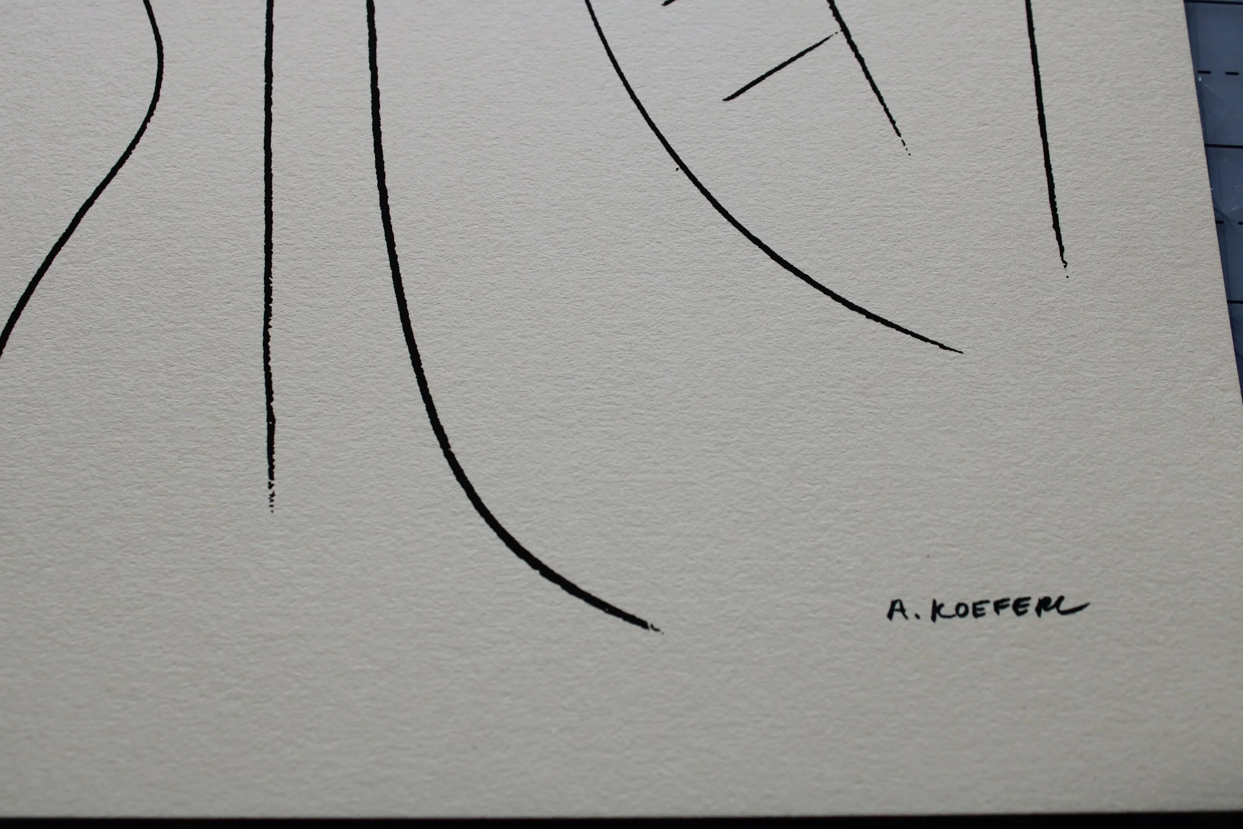 magnolia-drawing-3.jpg