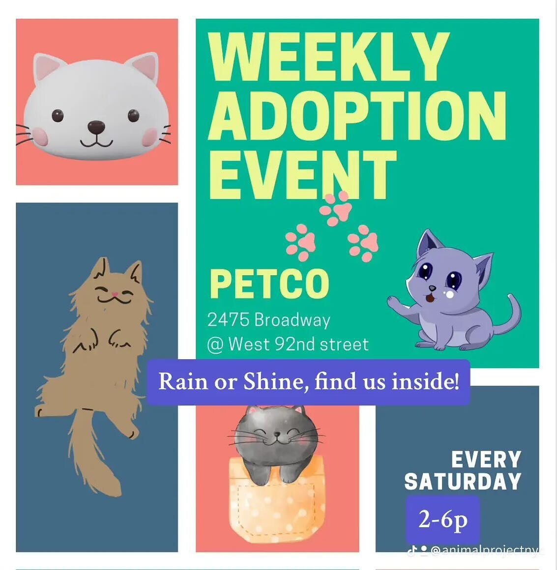 Weekly Saturday Adoption event today! See you at Petco from 2-6p!