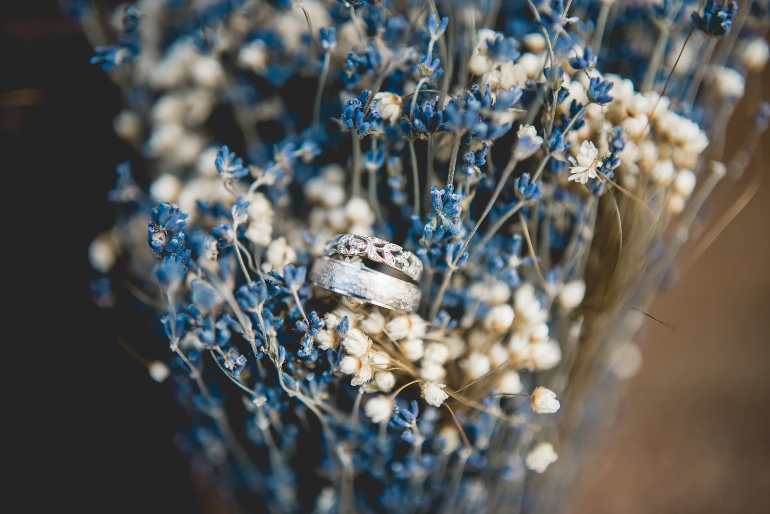 ALYSSUM & EISEN-579.jpg