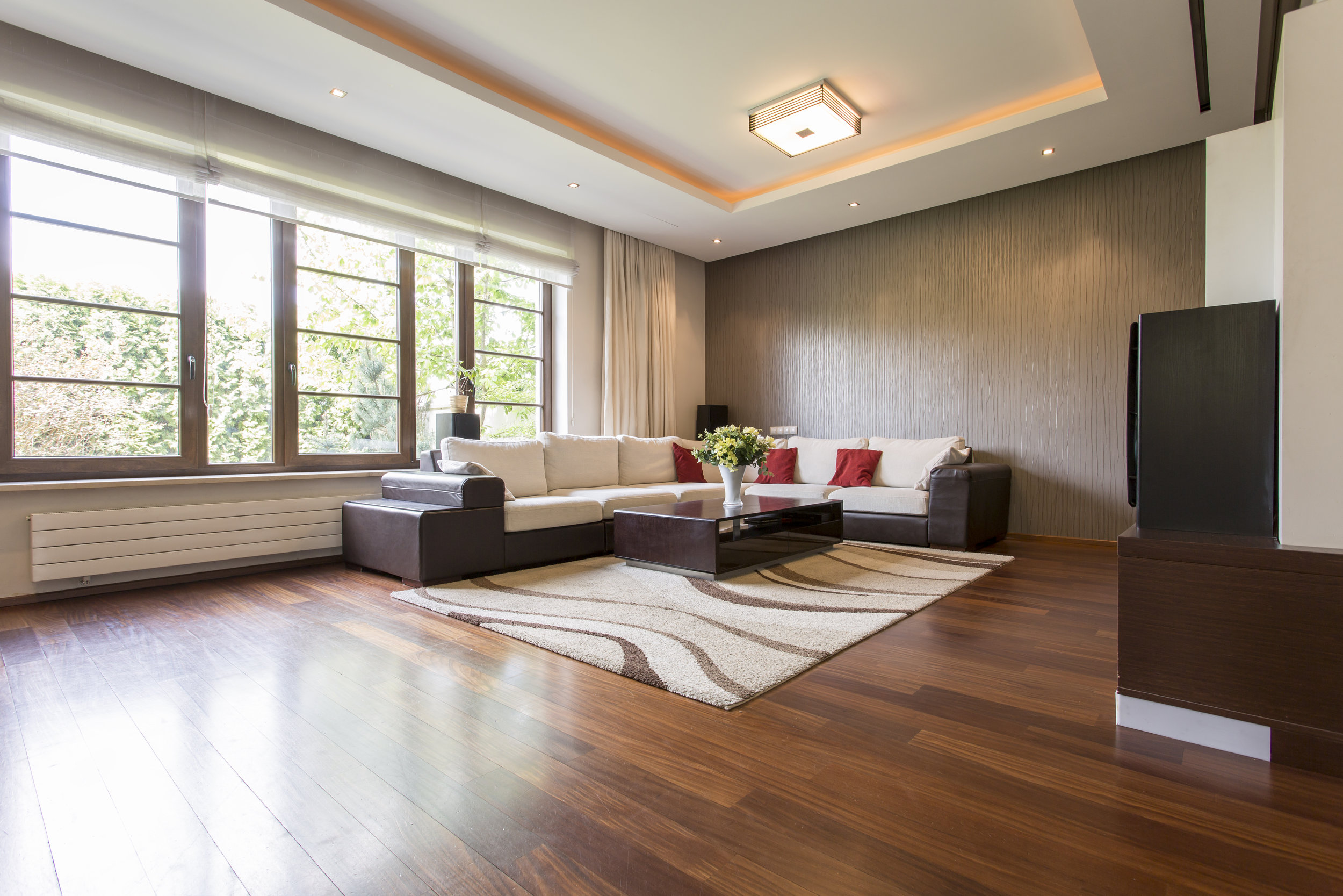 modern-living-room-PWENRRE.jpg
