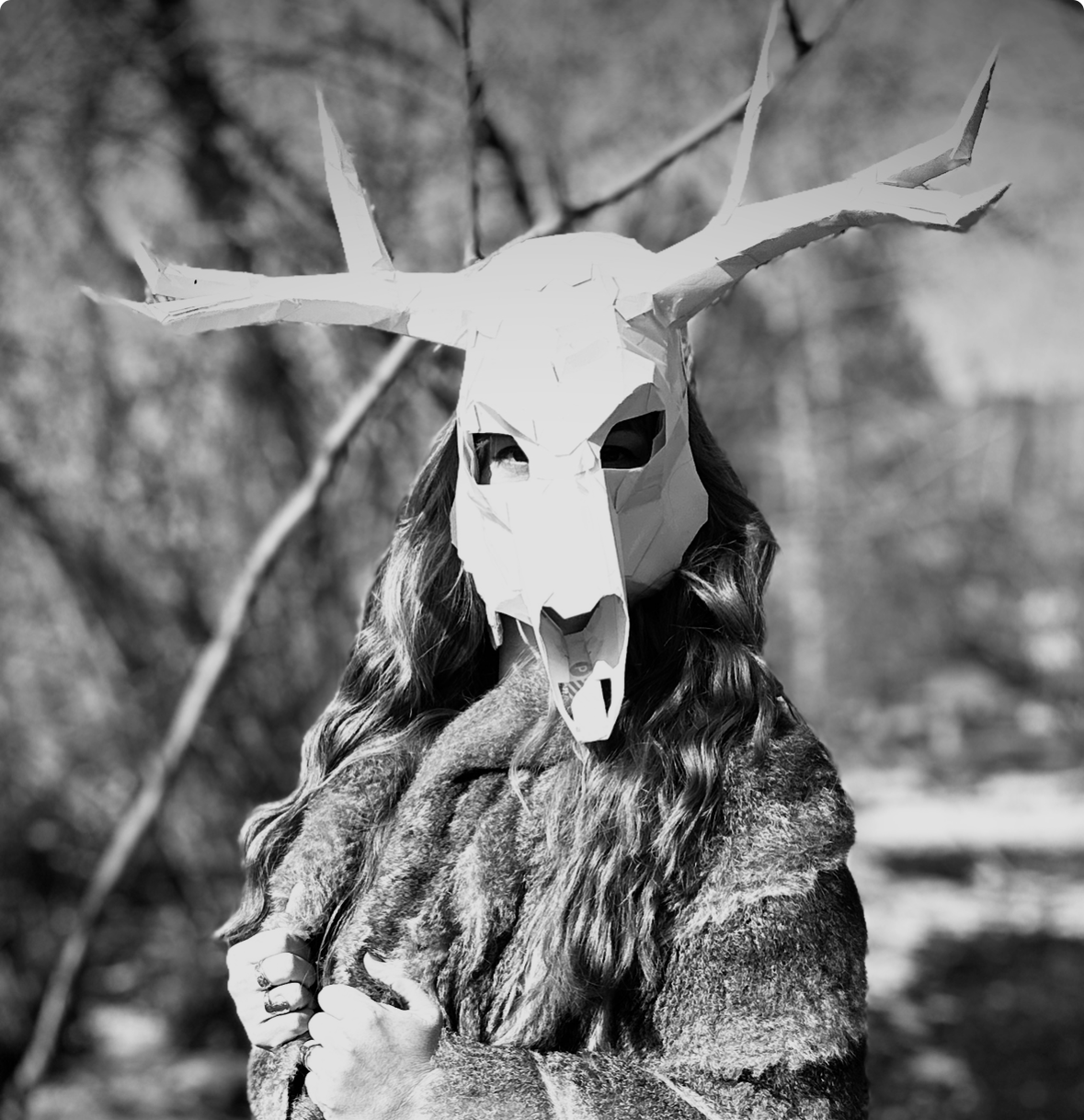 "We Are Animals" Poetry Collaboration