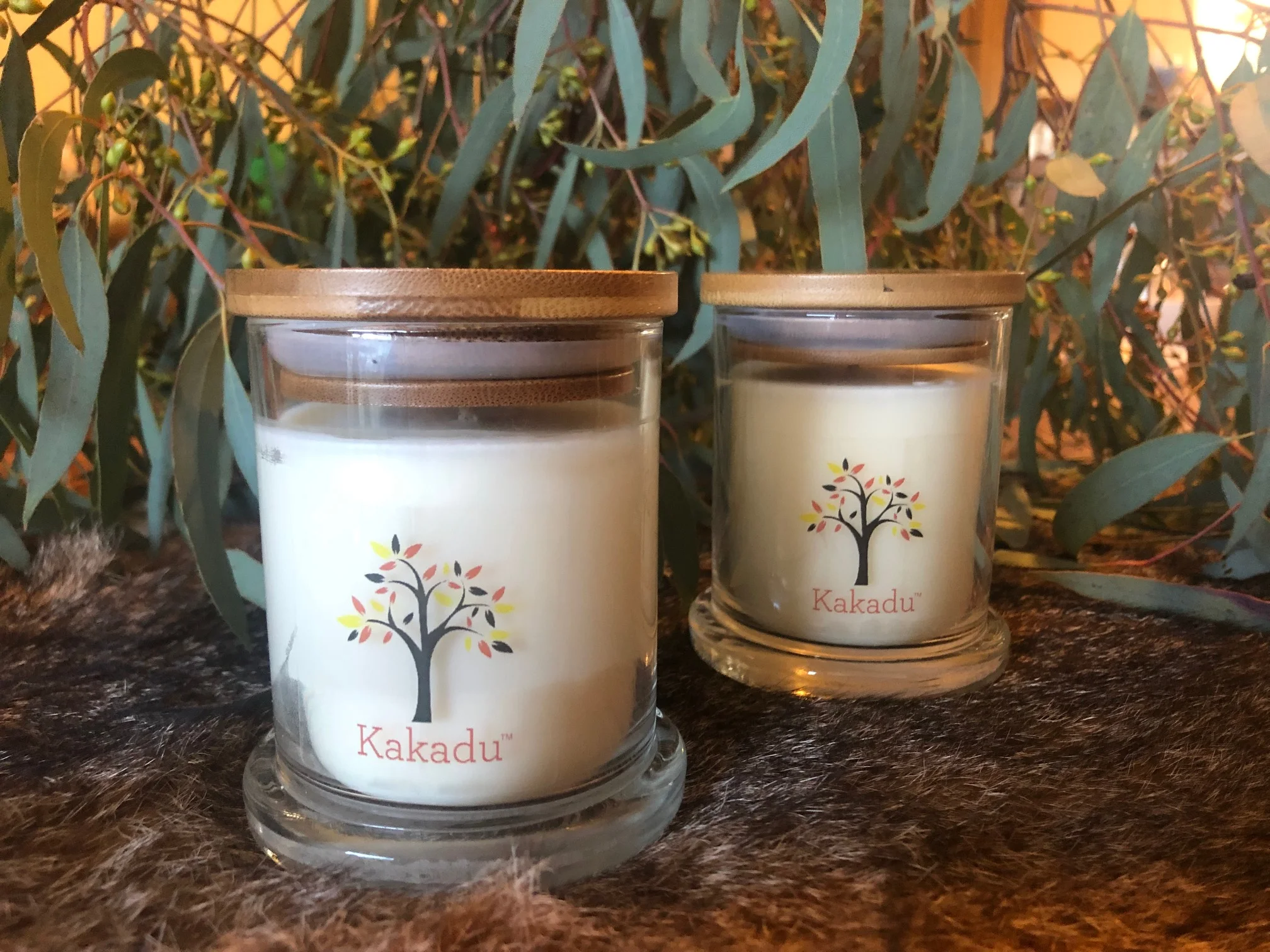 bush candles photo.jpg