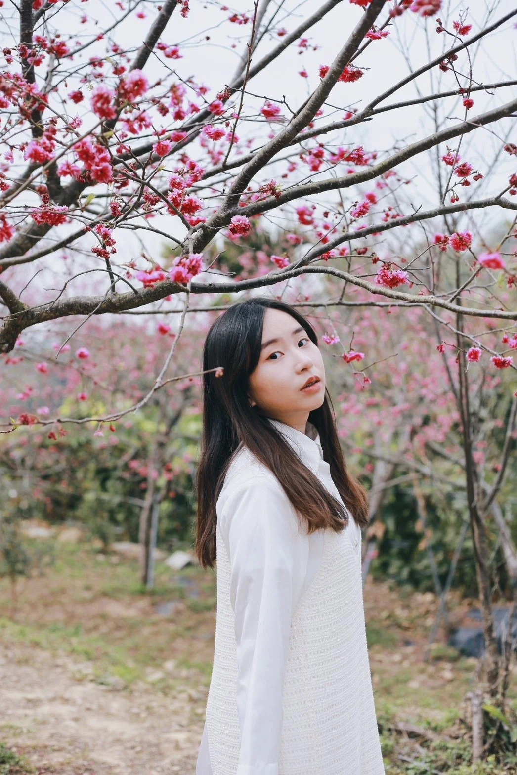 社群影音行銷 | Ching