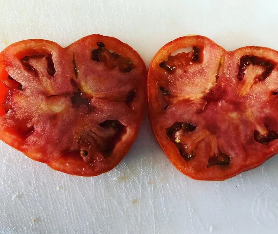 Tomato hearts