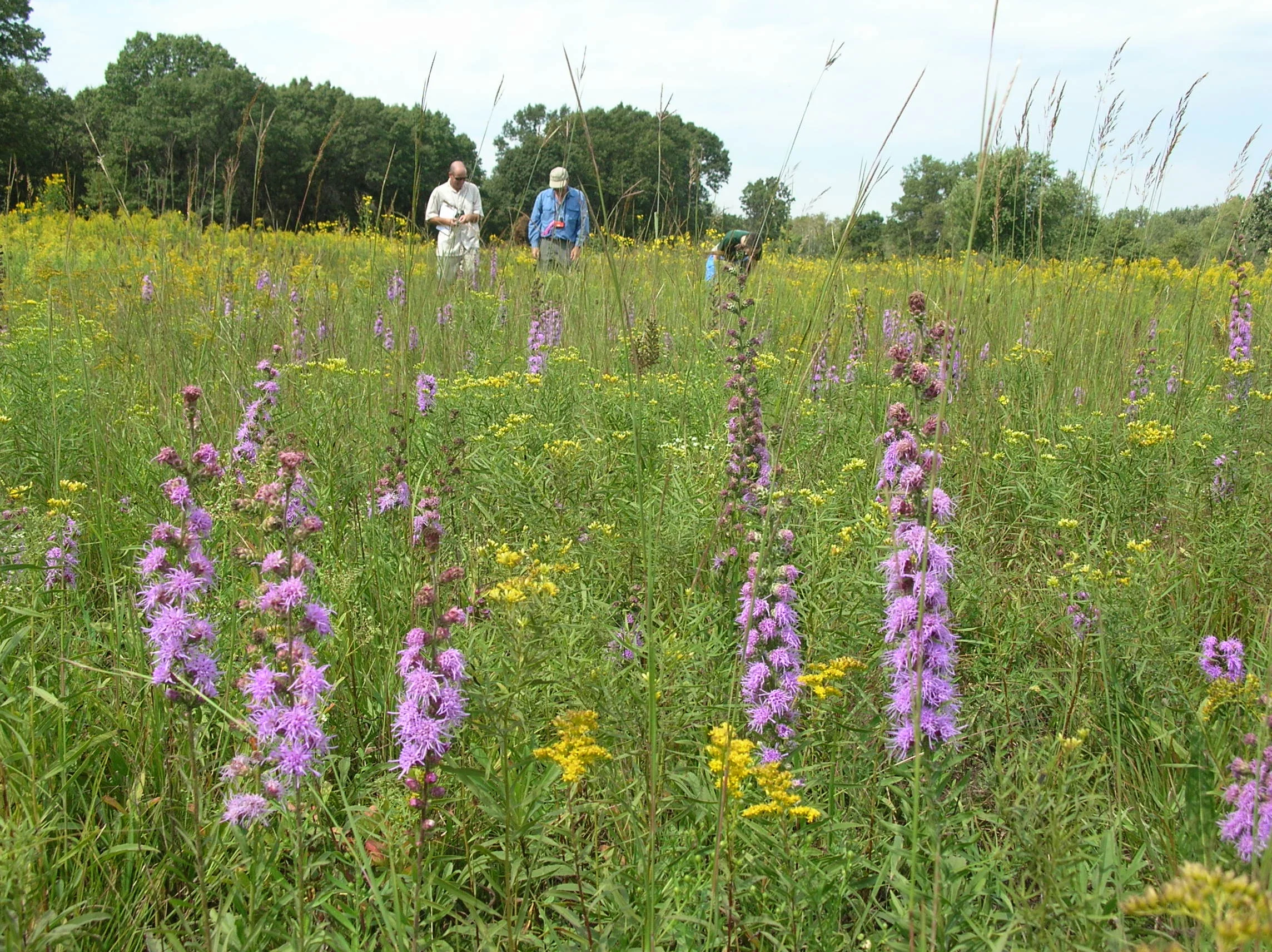 Evaluation of Sustain Our Great Lakes