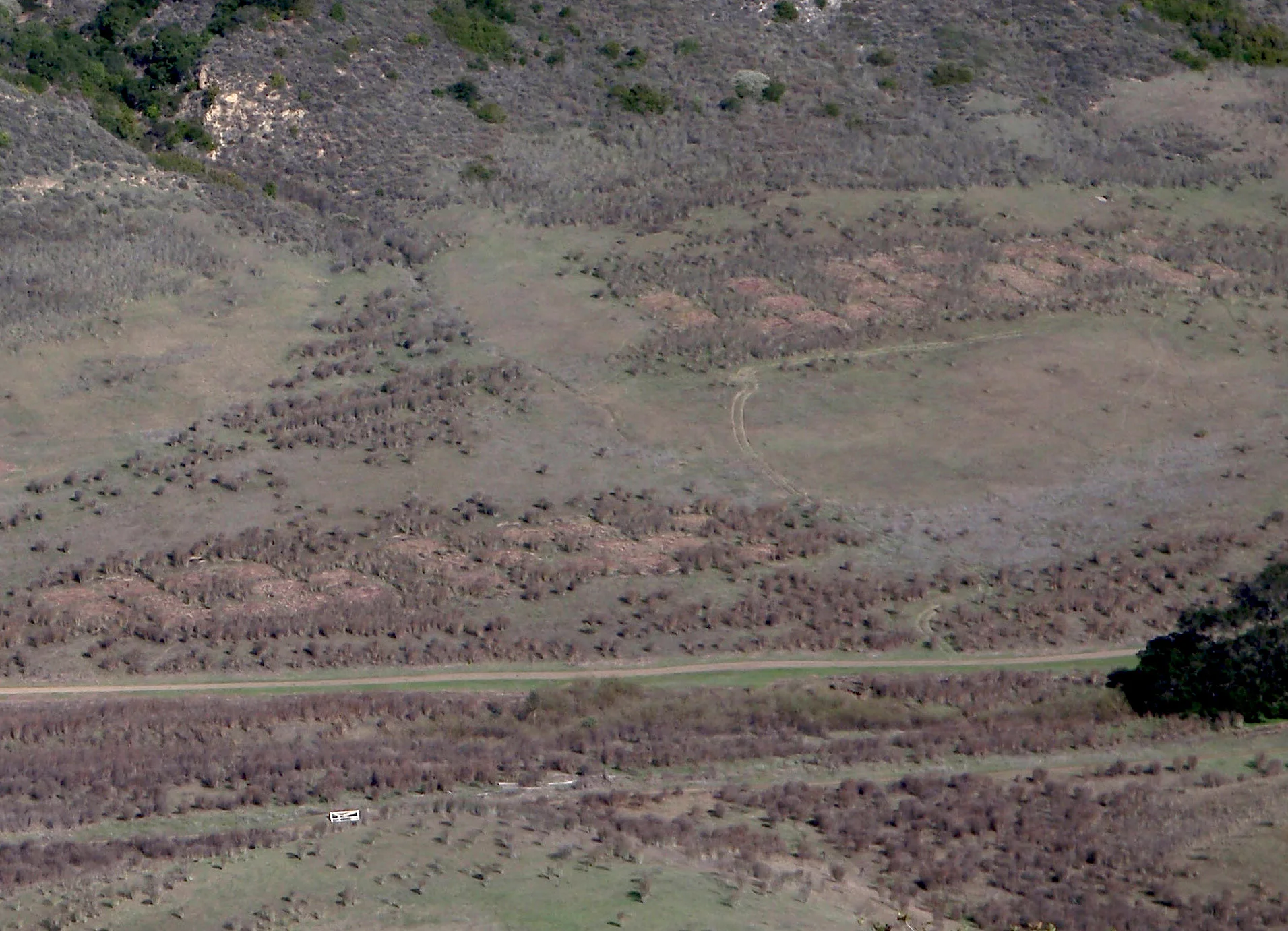 Santa Cruz Island Coastal Sage Scrub Experiment
