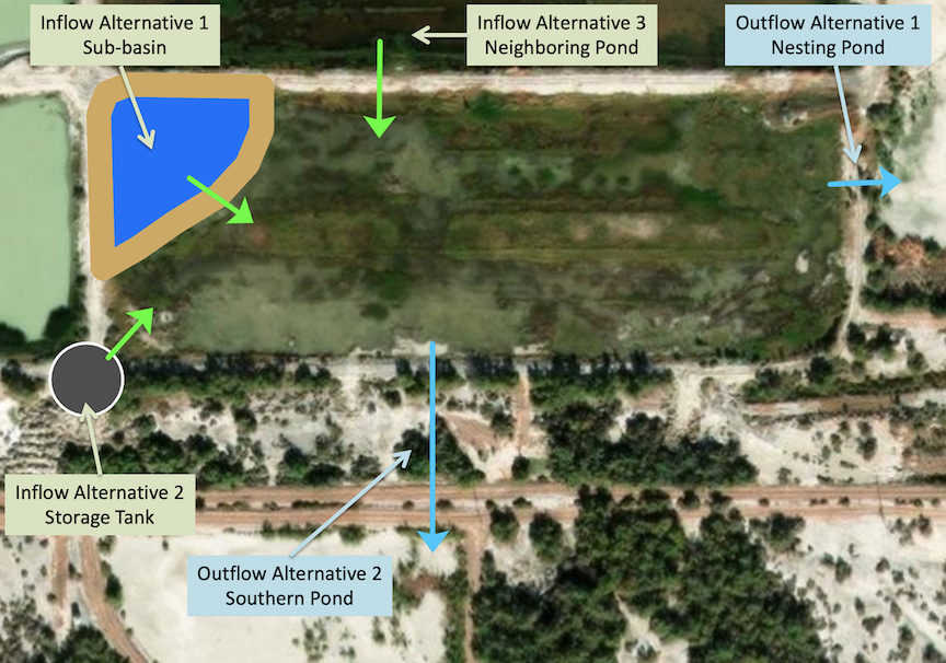 Restoring habitat for Yuma Ridgway's Rail and California Black Rail at North Shore Ranch