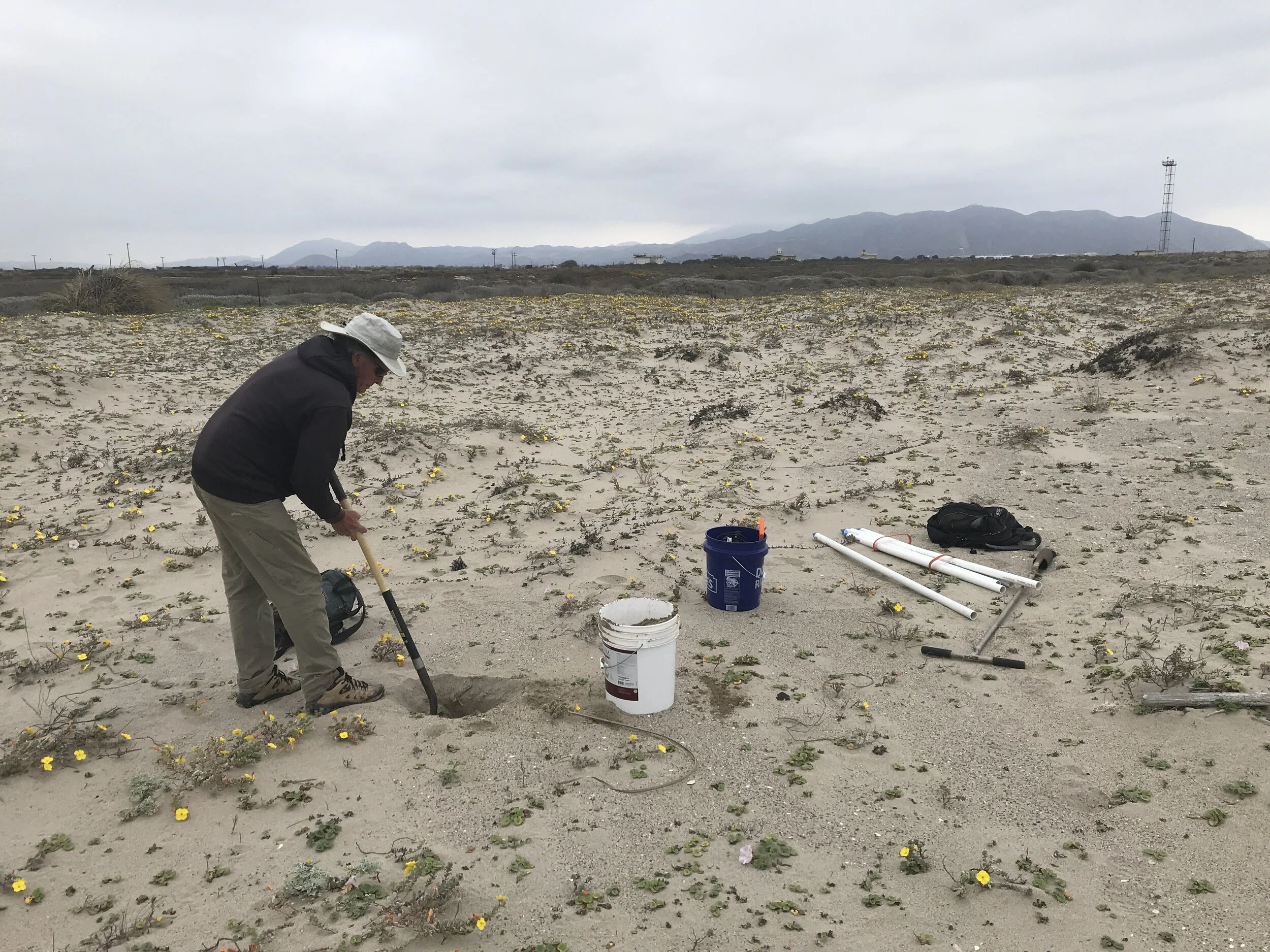 Ormond Beach Wetlands Pre-project Monitoring