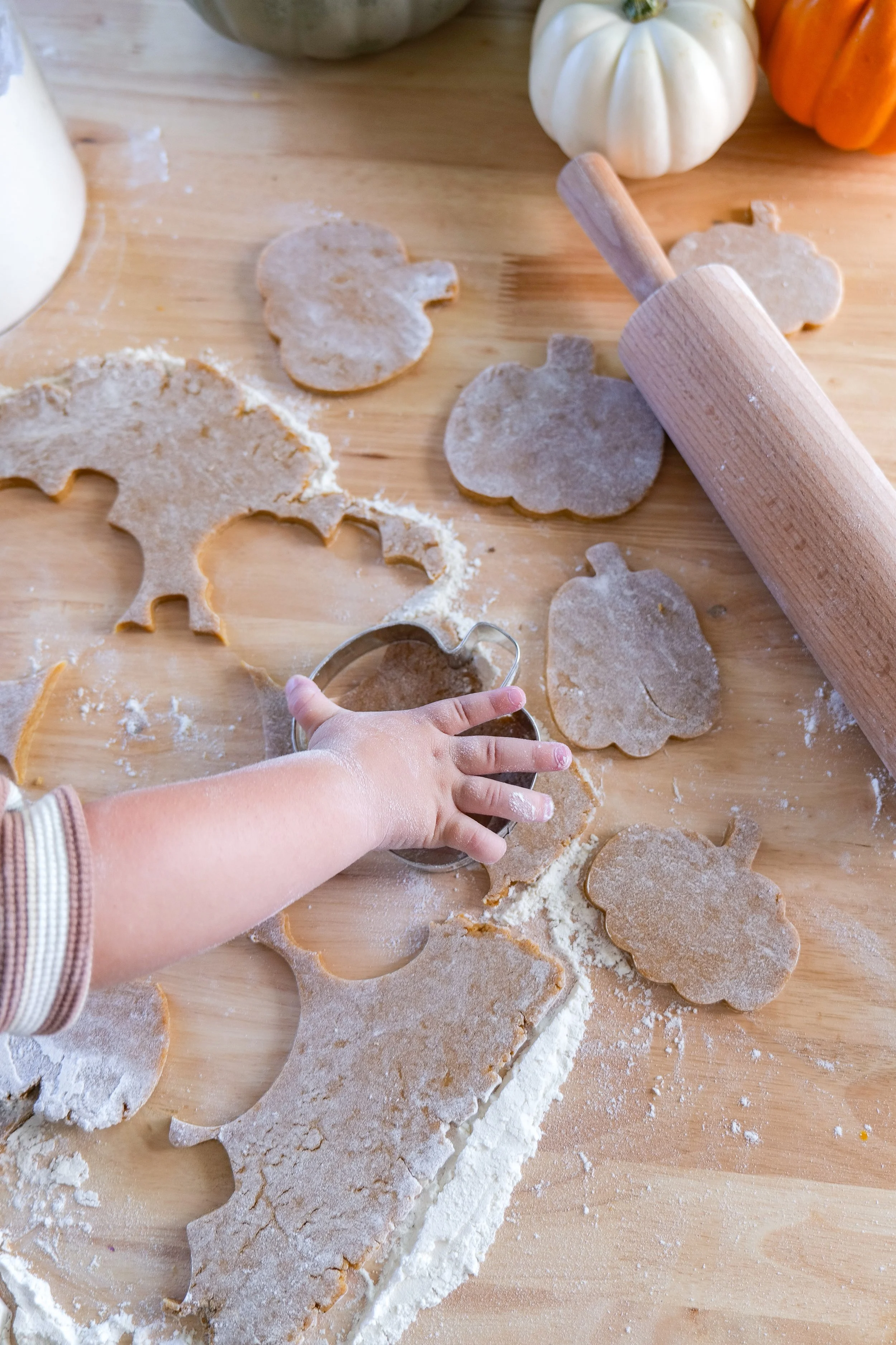 Pumpkin-shaped cookies being cut from chilled pumpkin cookie dough