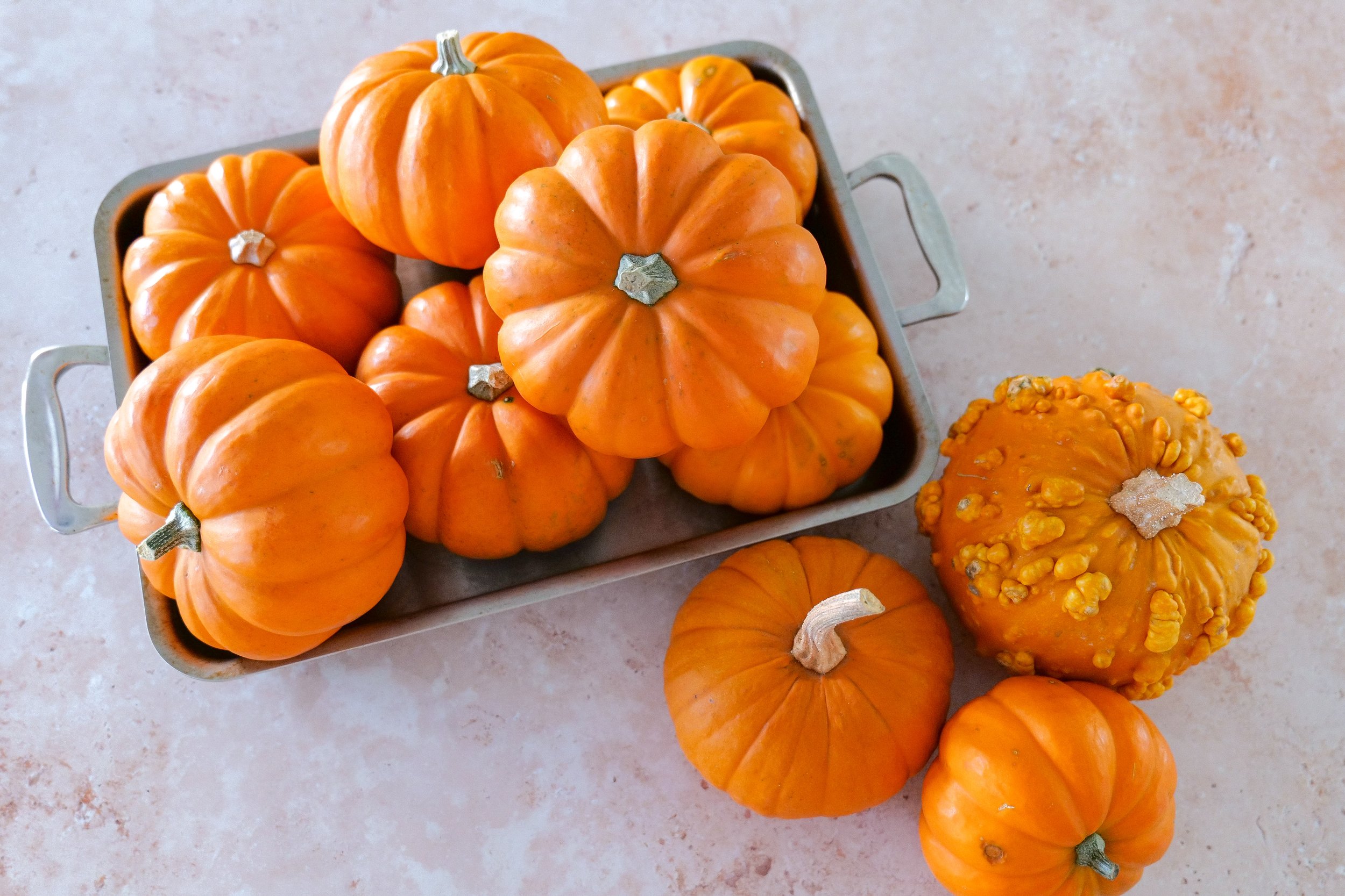 Small whole baby pumpkins ready to be prepared for savory stuffed pumpkins.