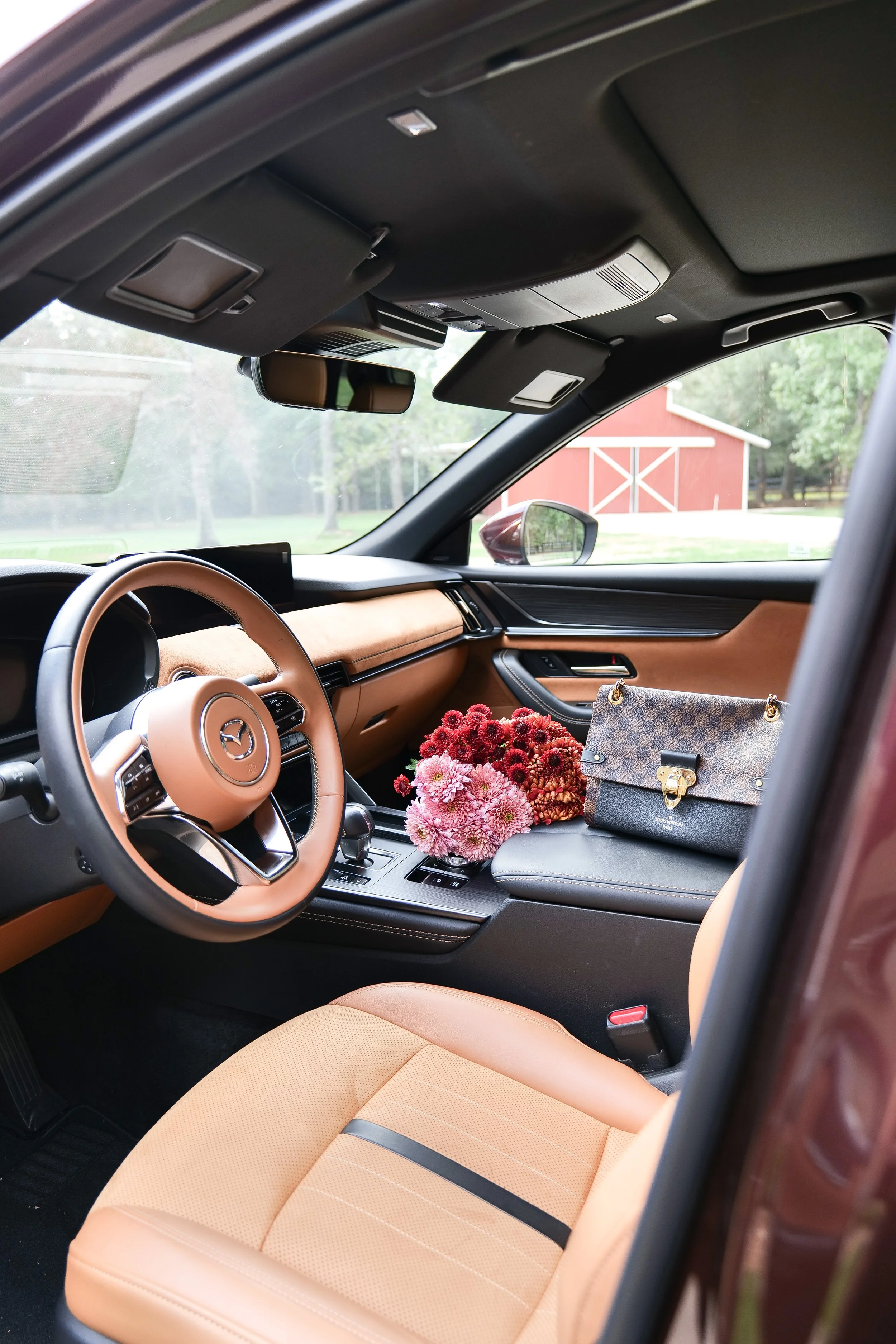 Mazda CX-5 and Mazda CX-50 comparison for family and everyday driving.