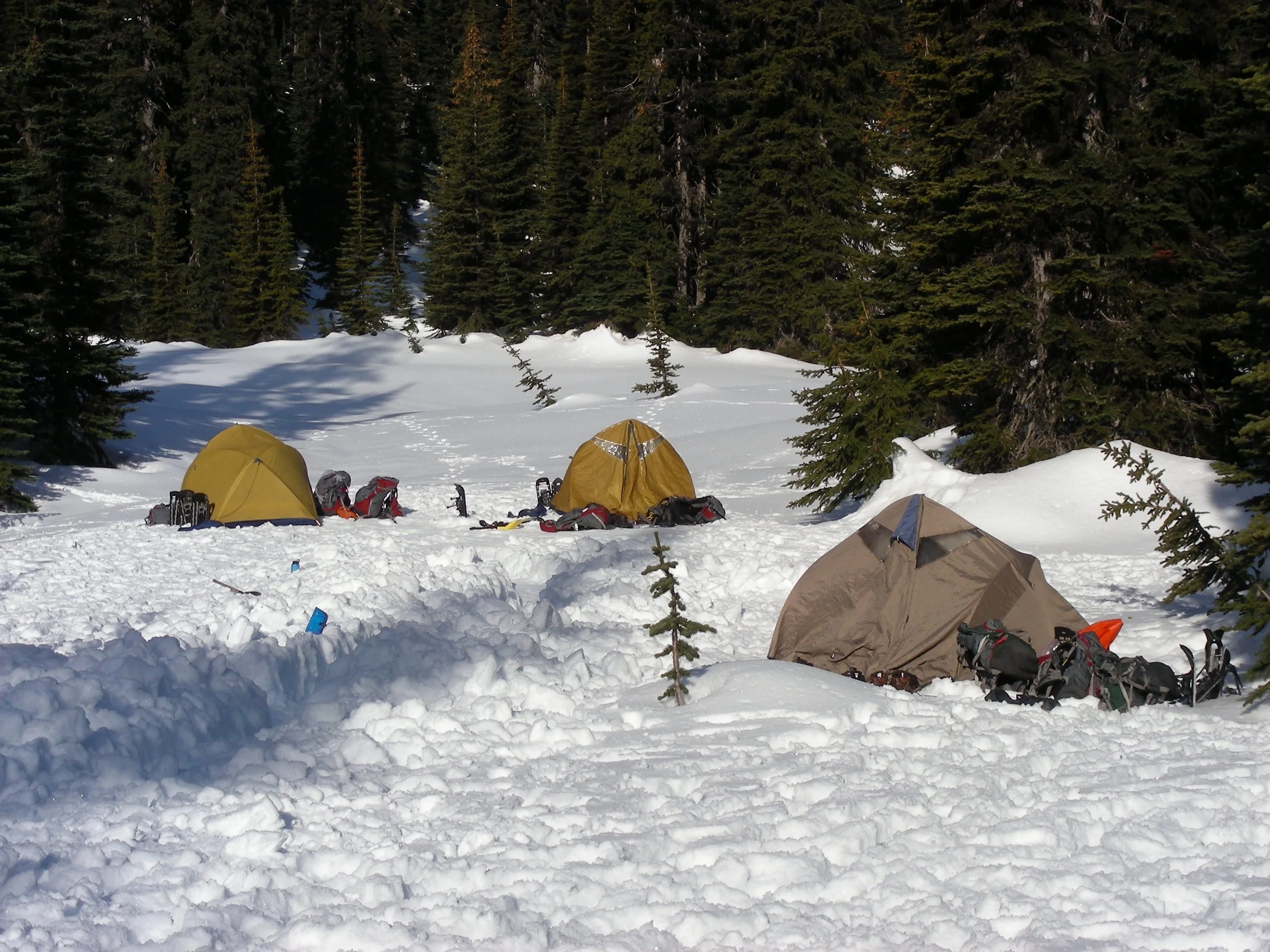 DSCN4768.jpg