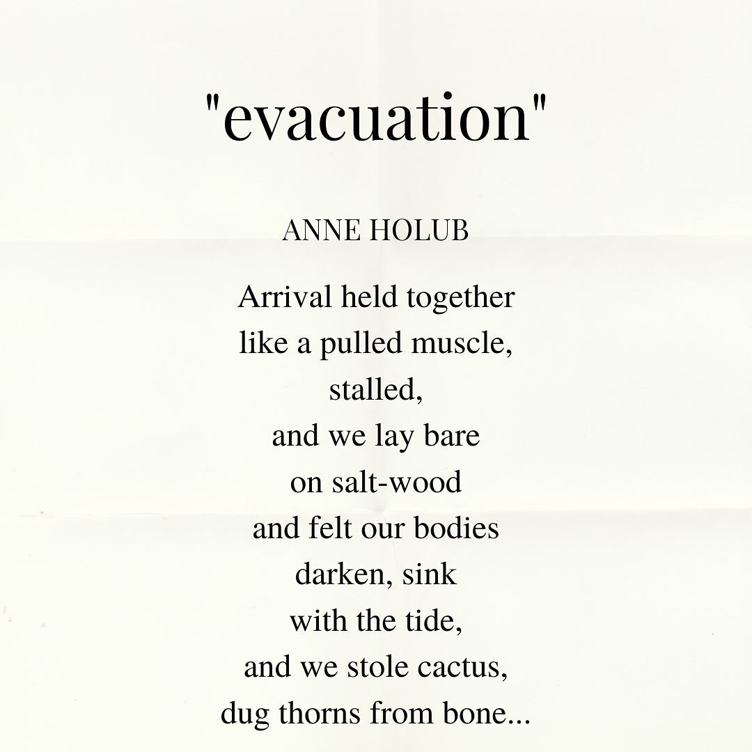 enjoy these two excerpts from anne holub&rsquo;s flash poems, &ldquo;evacuation&rdquo; and &ldquo;seizing&rdquo;. read both works in issue v of the tiny journal (thetinyjournal.org)

#flashpoetry #flashpoem #flashwriting #flashwriters #authors #autho