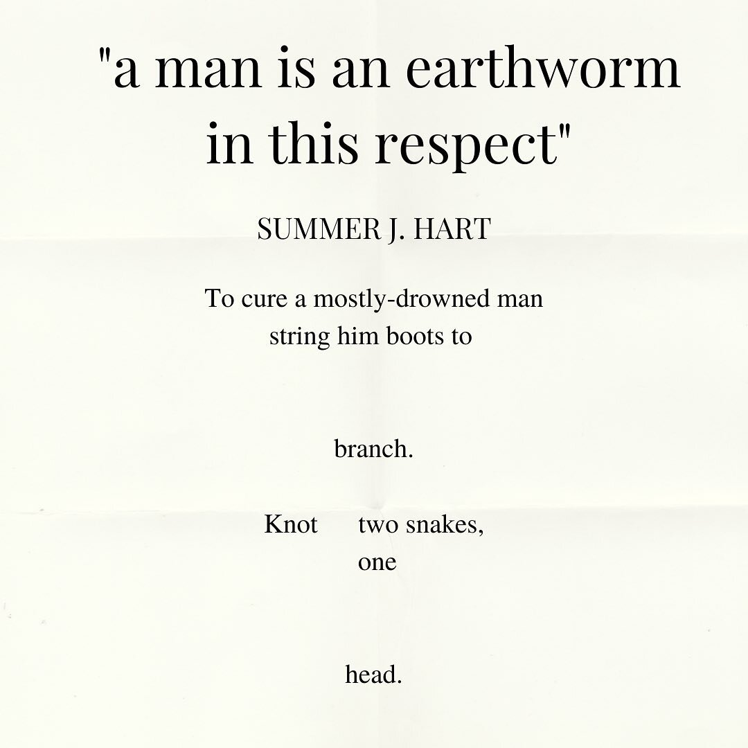 enjoy these excerpts from three poems by summer j. hart, all available in issue v of the tiny journal! their work and others are published in full at thetinyjournal.org

#authors #author #authorsofinstagram #writer #writers #writersofinstagram #writi