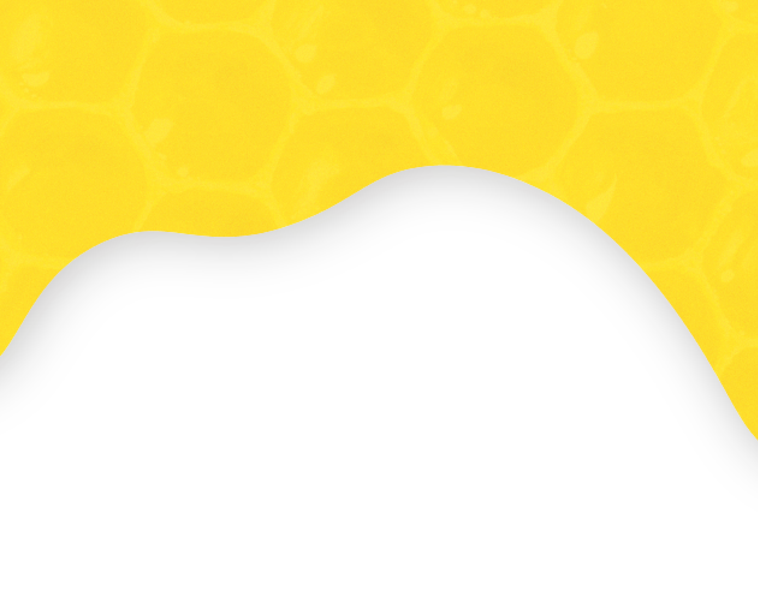willow_blobs-20.png