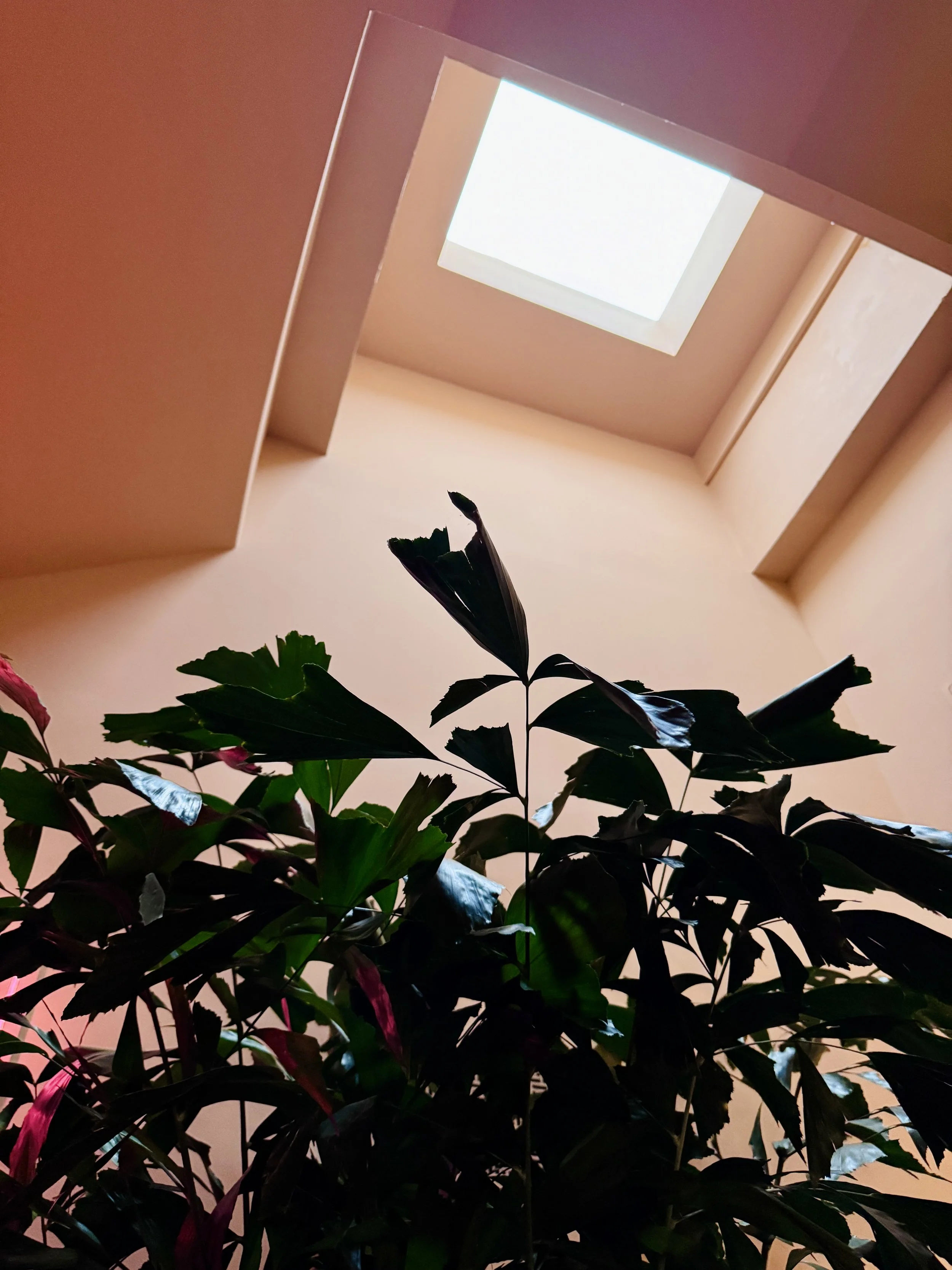 IMG_4192.jpeg
