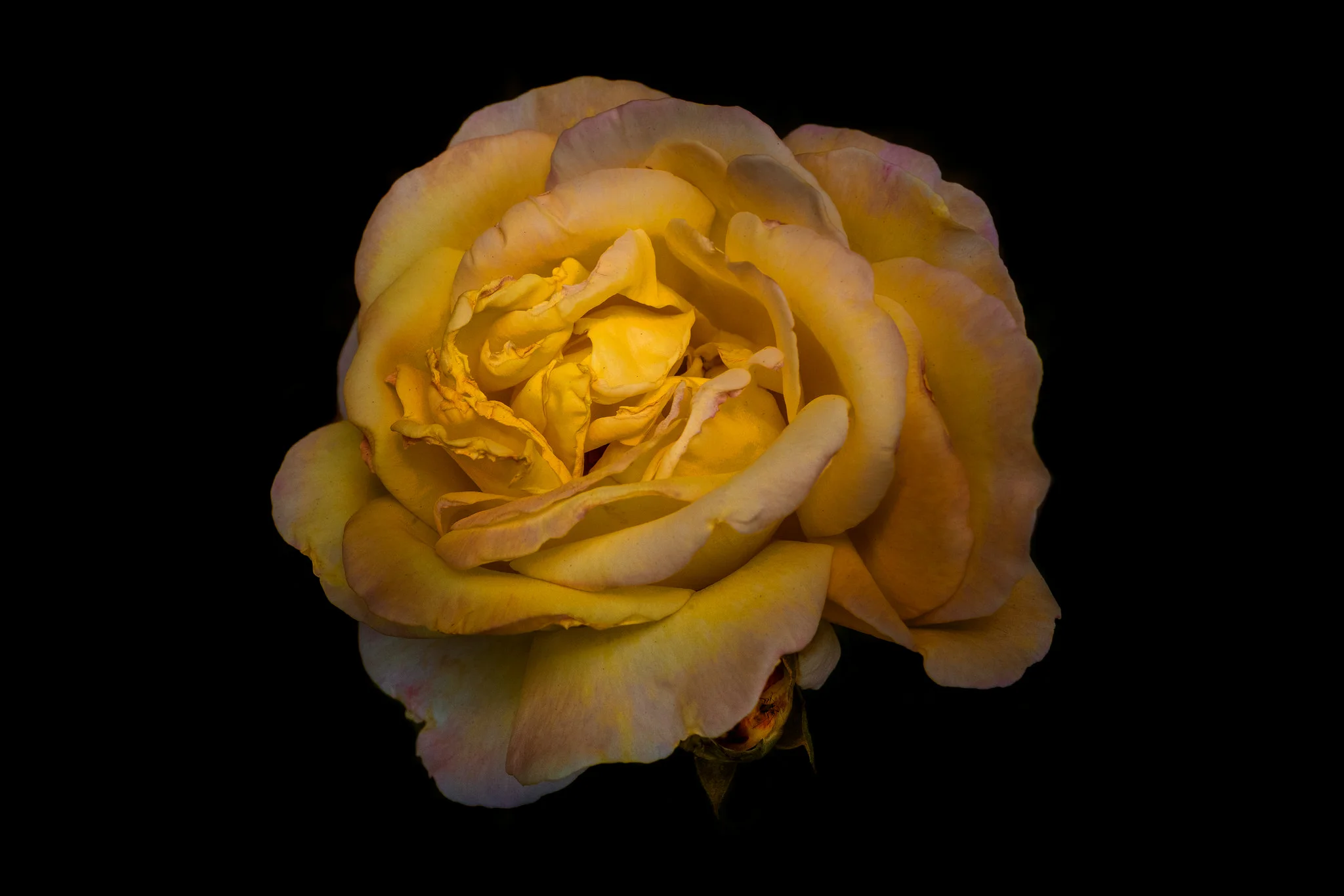 Demeter
