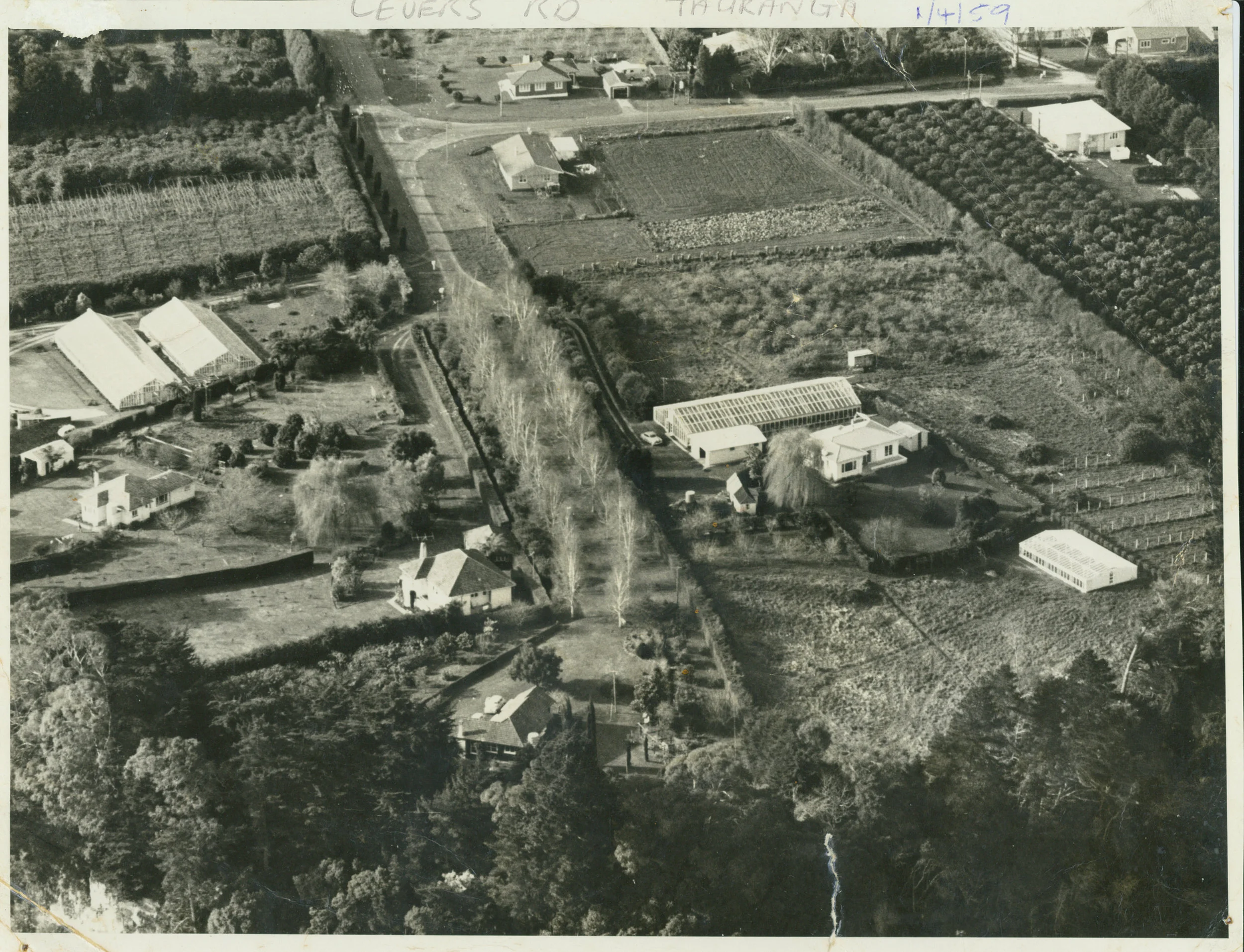  Our property at Otumoetai. To the right of long driveway. Note the glasshouses&nbsp;and the small hut on lhs of house where my sister and I slept.&nbsp;I was only 6 when we moved there. &nbsp; 