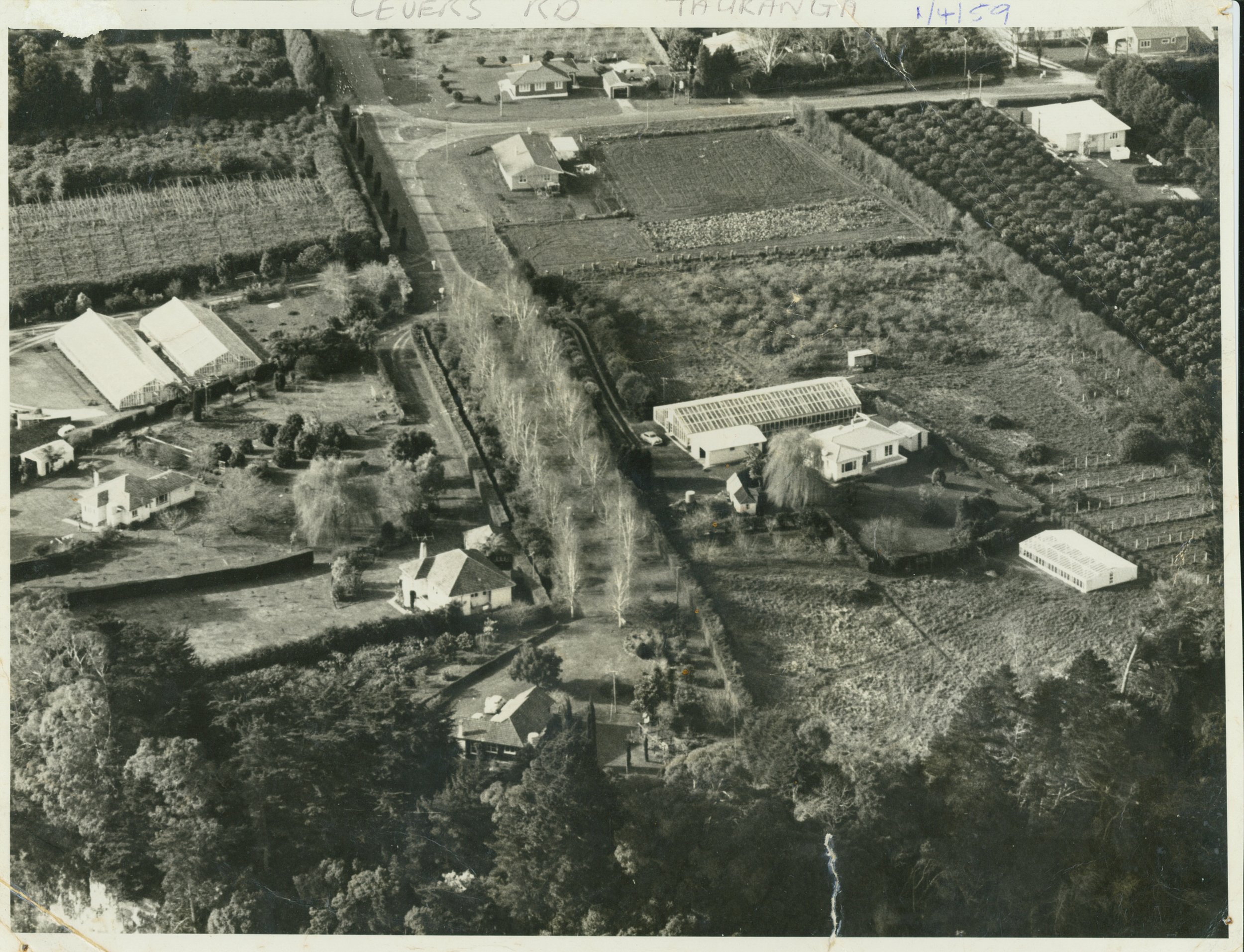 Levers Crescent, Tauranga 