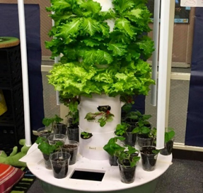 Hydroponics.png
