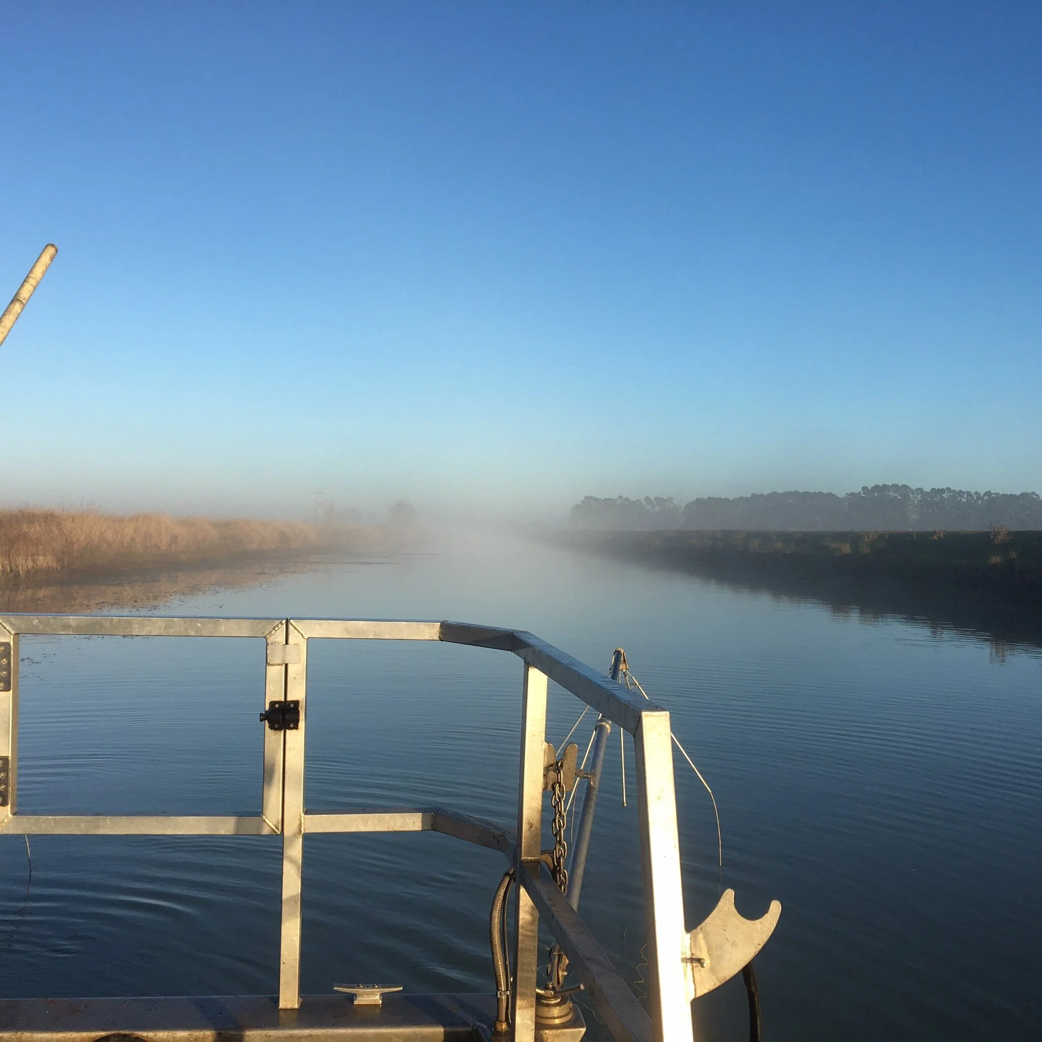 Early morning mist.jpg