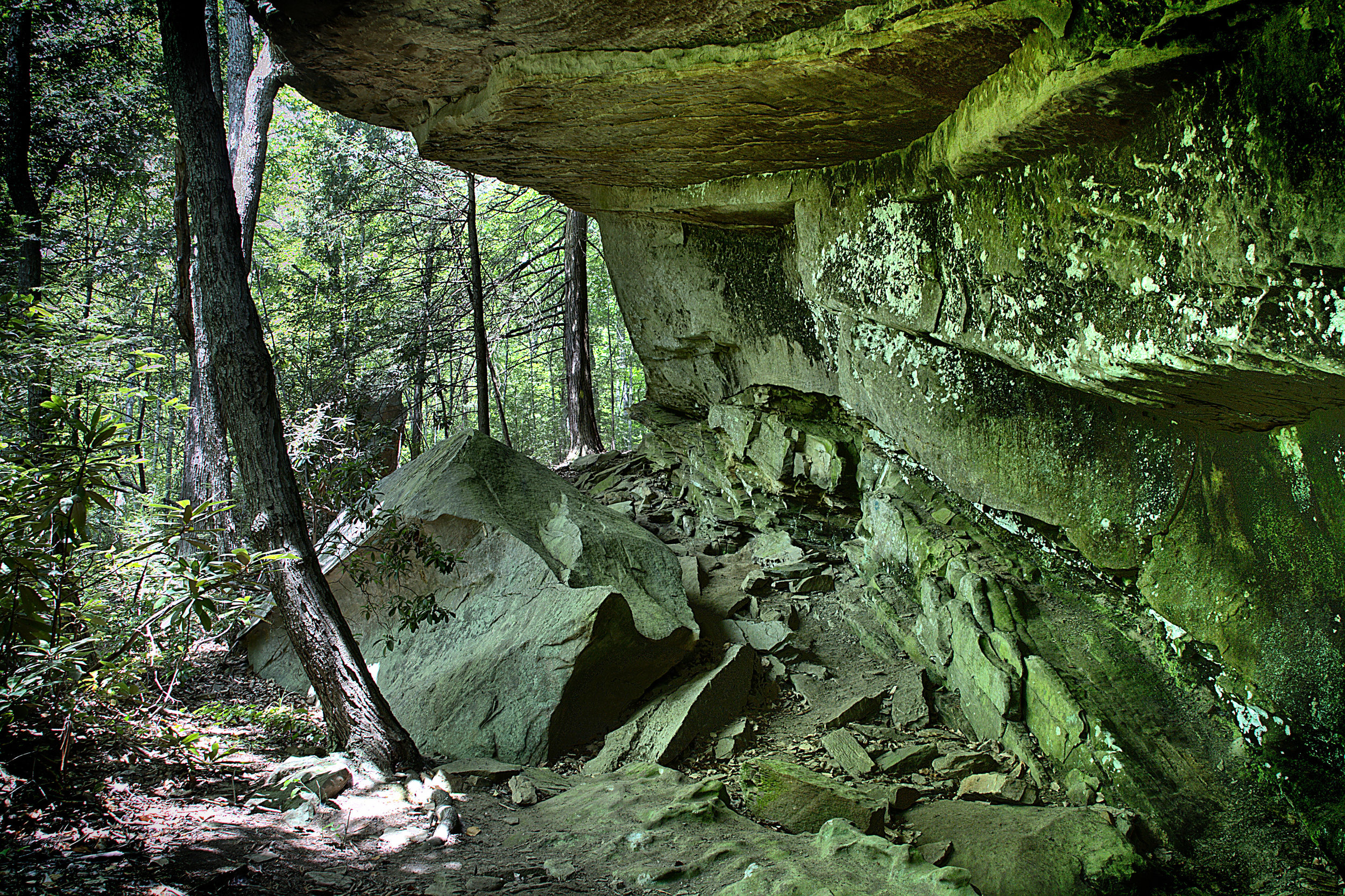 Blanton Forest - Overhang.jpg