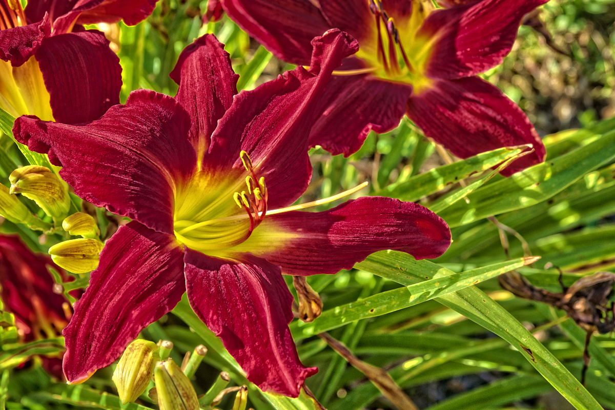_7016695_w.jpg
