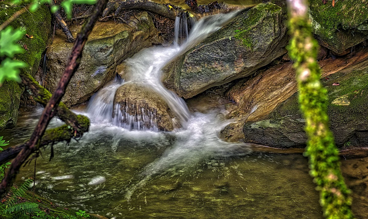 _7300293_W.jpg