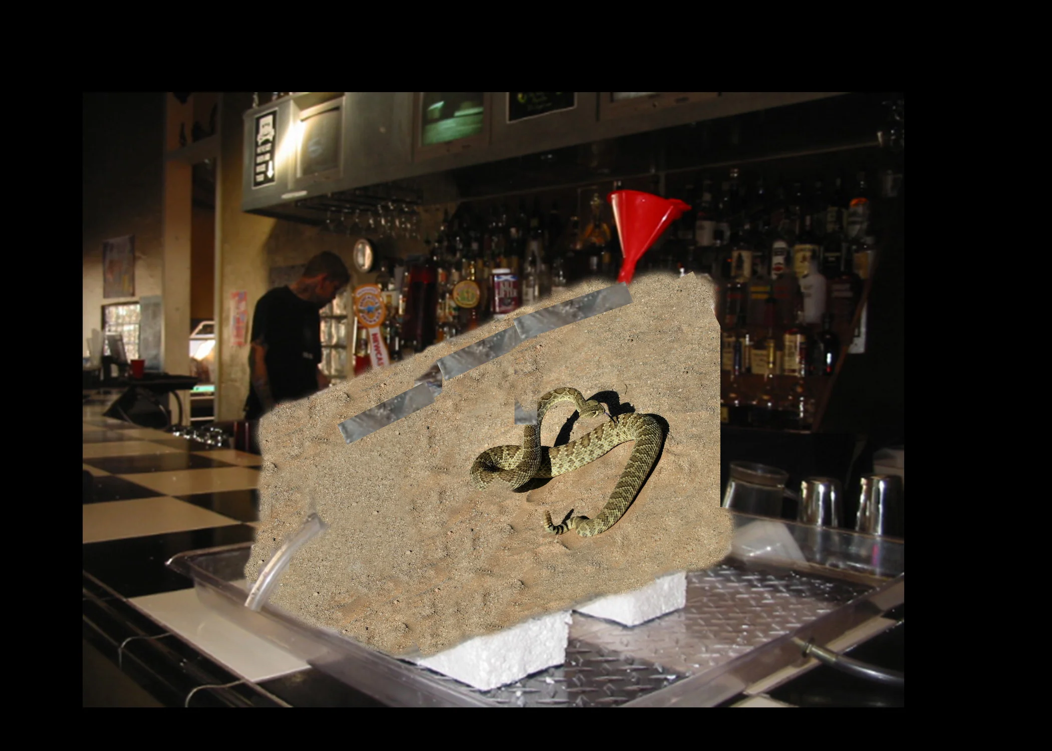 coyotessandluge.jpg