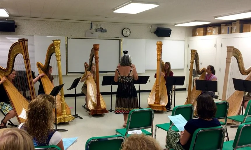 AHSSummerInstitute2015-3.jpg