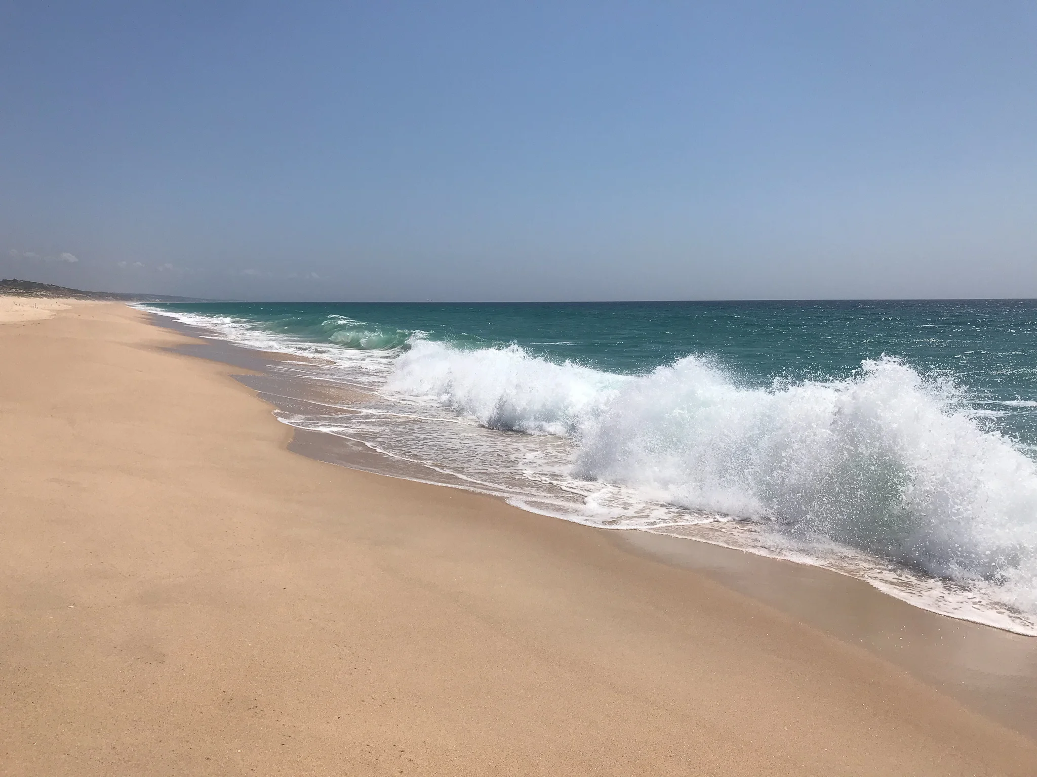 COMPORTA